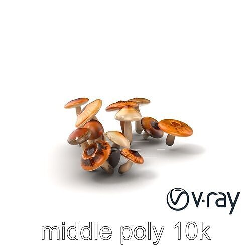 Mushroom Forest Collection model pack Low-poly 3D model