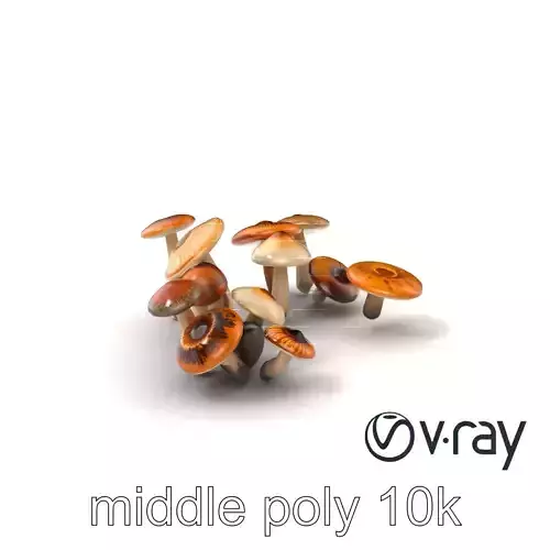 Mushroom Forest Collection model pack Low-poly 3D model