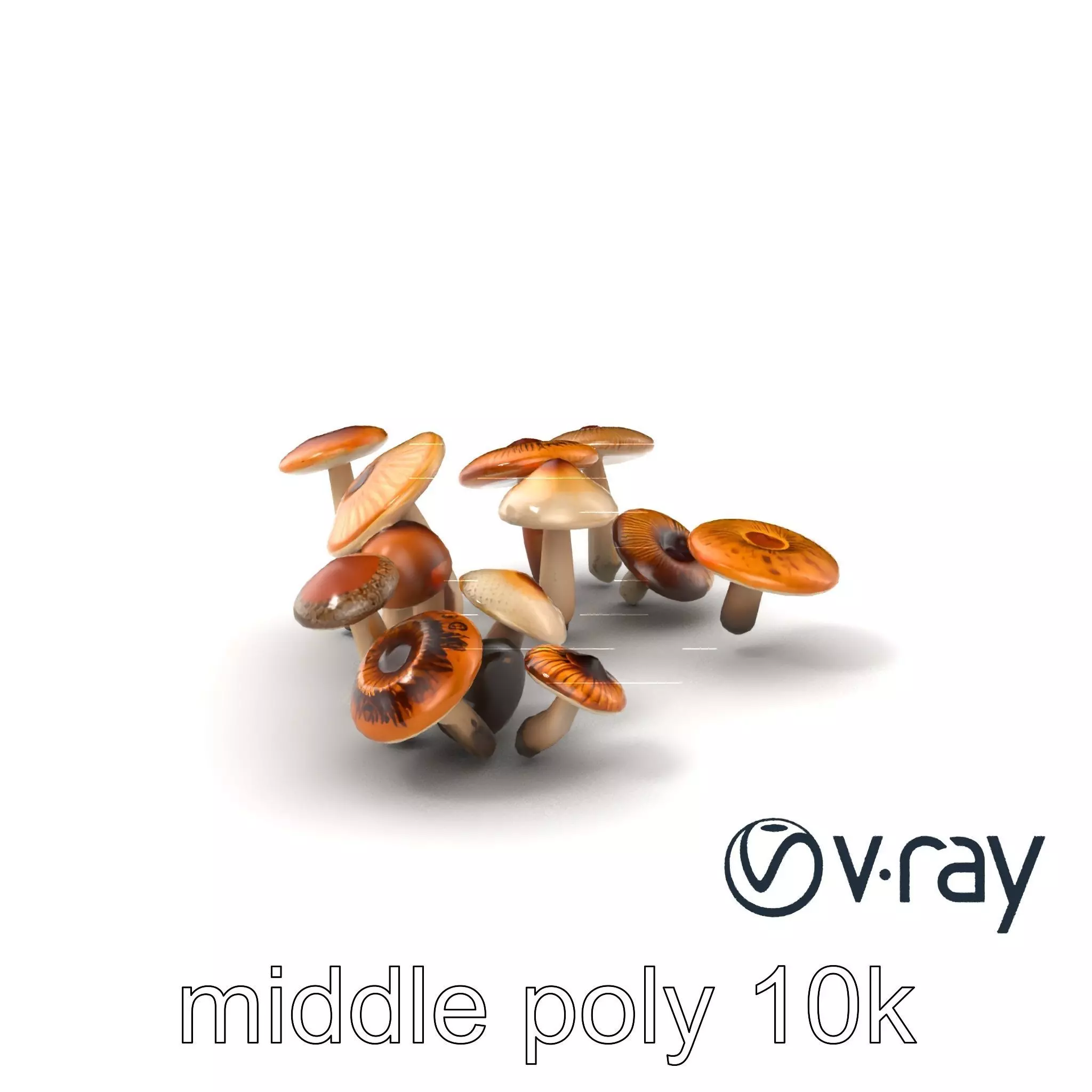 Mushroom Forest Collection model pack Low-poly 3D model_0