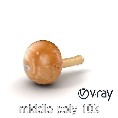 Puffball Mushroom Realistic Model Pack Low-poly 3D model