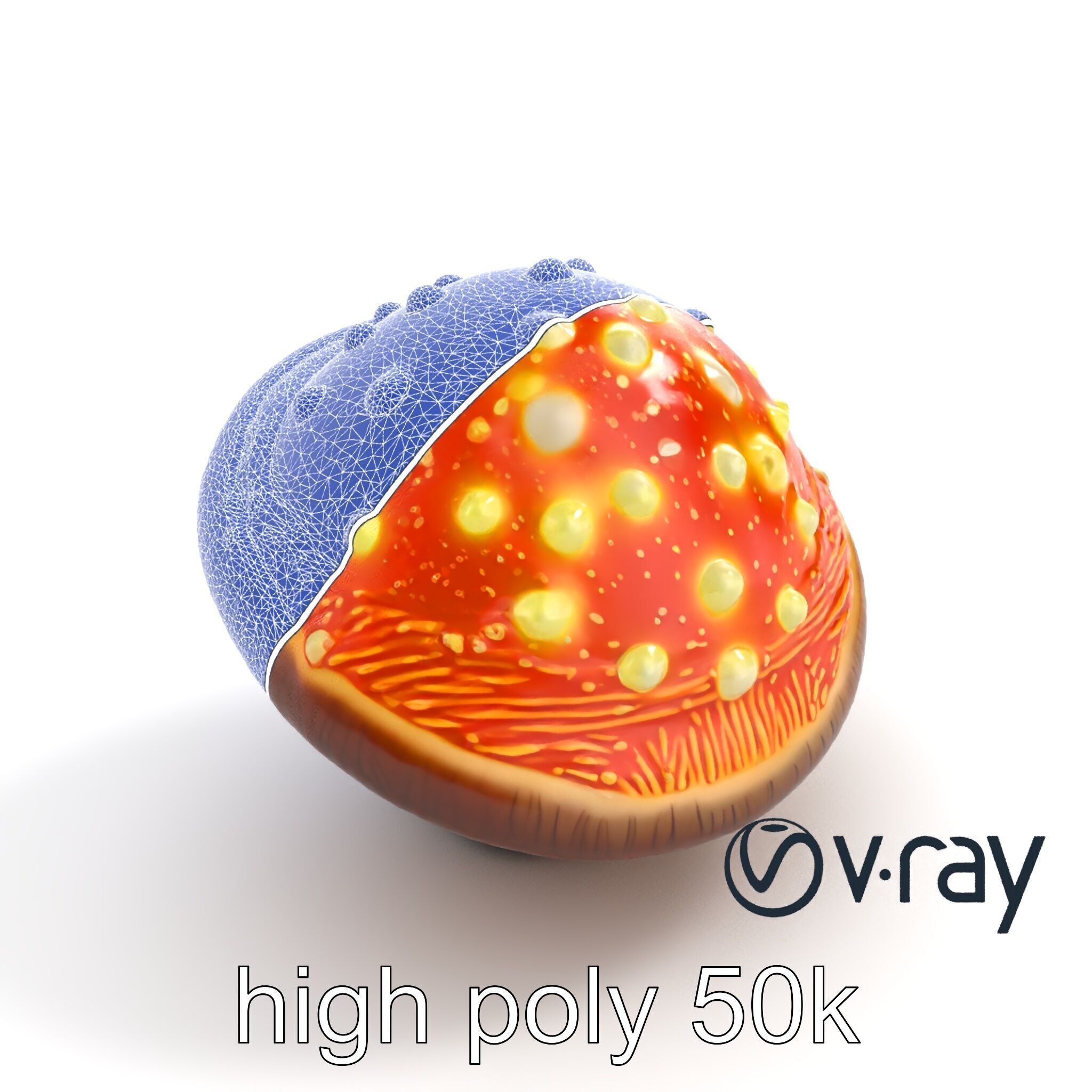 Glowing Magical Mushroom Model Pack for Fantasy Themes Low-poly 3D model_12