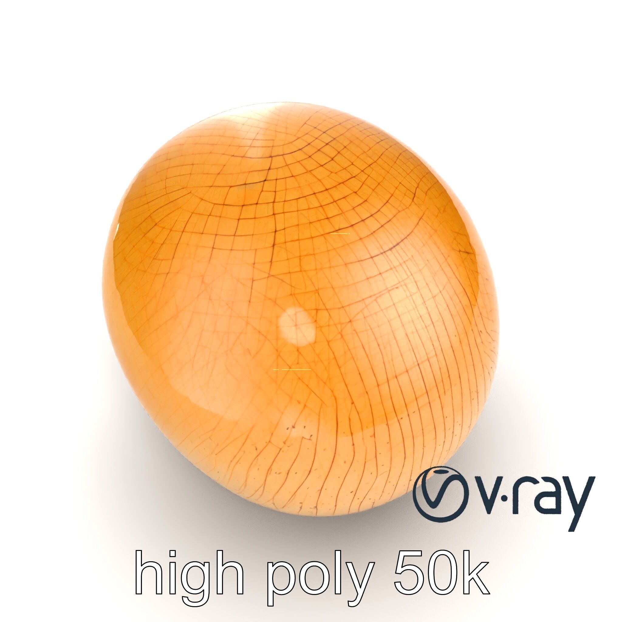 Shiitake Mushroom Photorealistic 3D model pack Low-poly 3D model_29