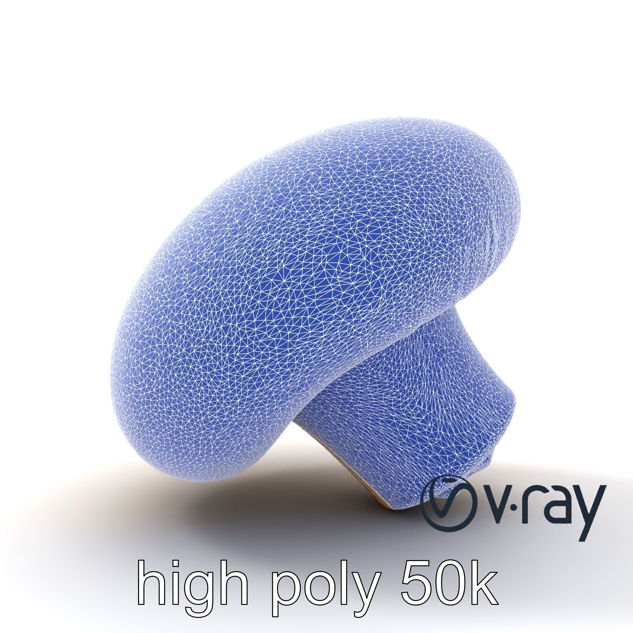 Shiitake Mushroom Photorealistic 3D model pack Low-poly 3D model_31