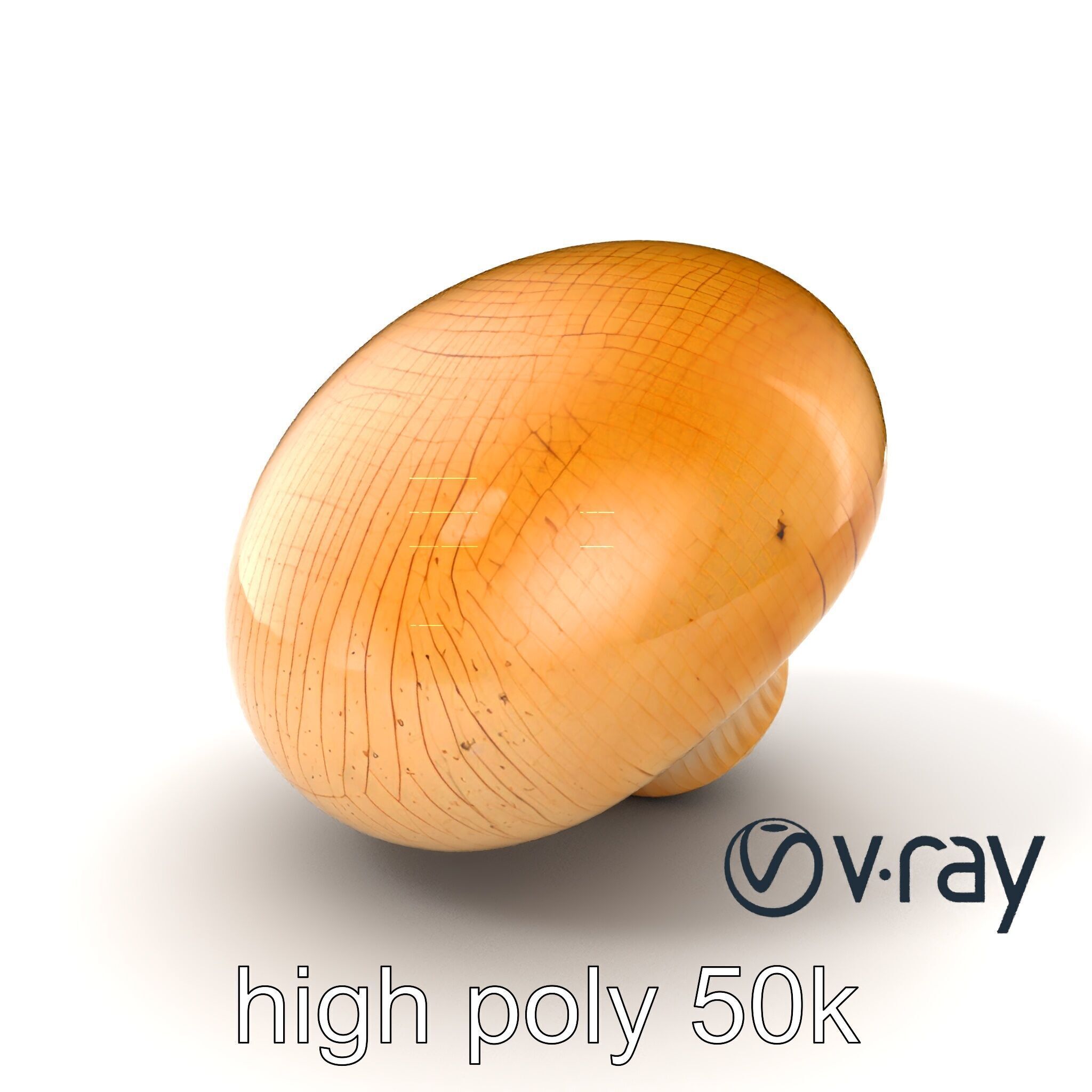 Shiitake Mushroom Photorealistic 3D model pack Low-poly 3D model_7