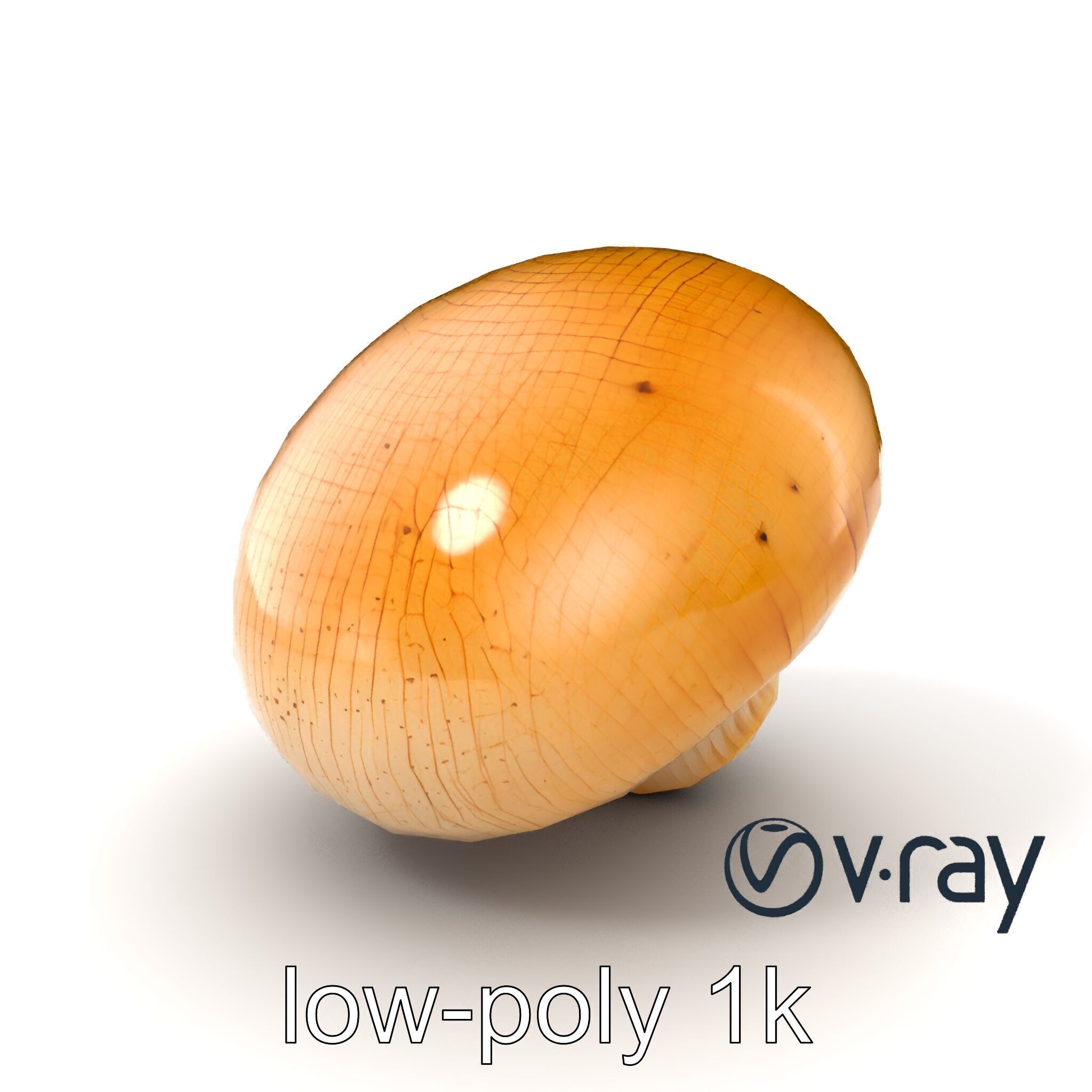 Shiitake Mushroom Photorealistic 3D model pack Low-poly 3D model_3