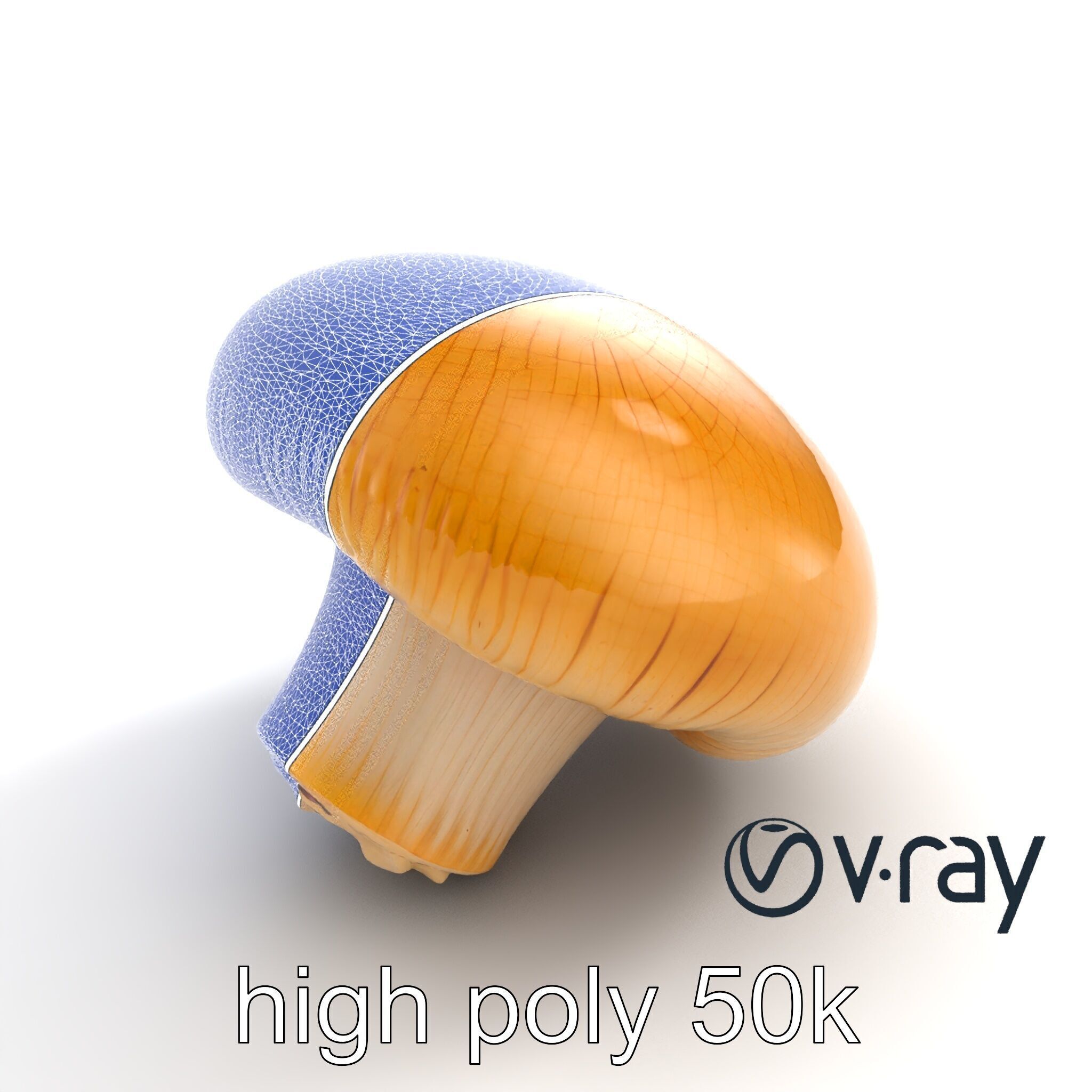 Shiitake Mushroom Photorealistic 3D model pack Low-poly 3D model_32