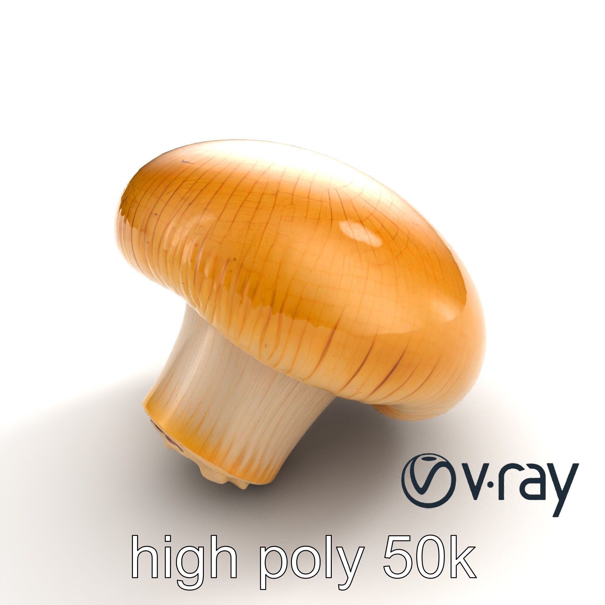 Shiitake Mushroom Photorealistic 3D model pack Low-poly 3D model_13