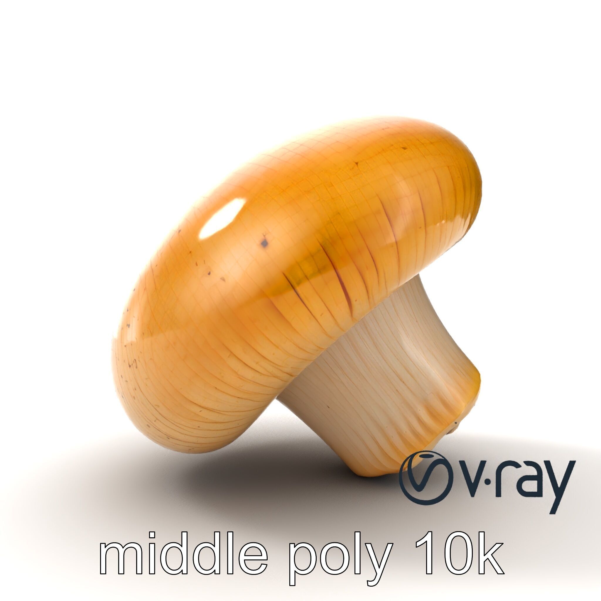Shiitake Mushroom Photorealistic 3D model pack Low-poly 3D model_24