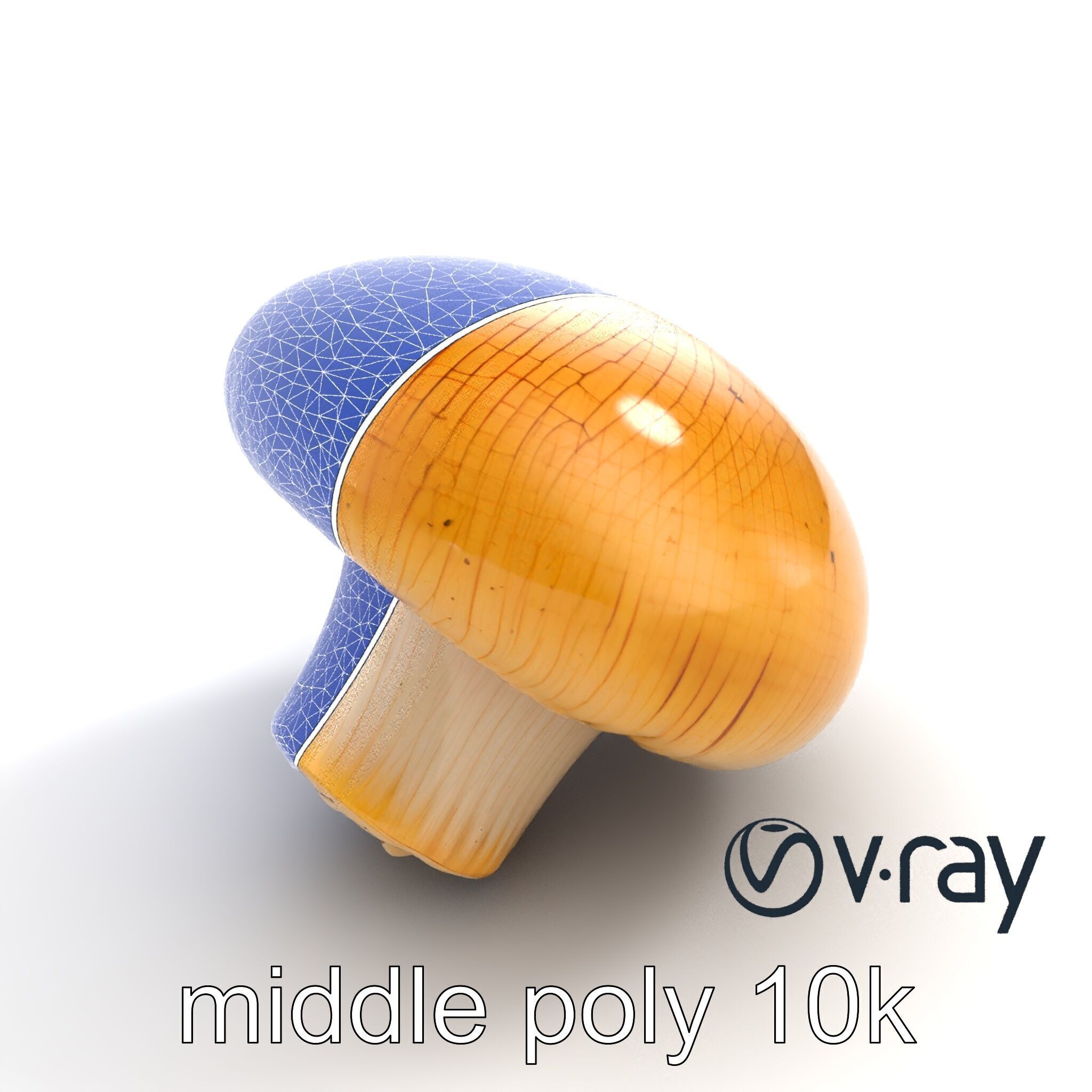 Shiitake Mushroom Photorealistic 3D model pack Low-poly 3D model_11