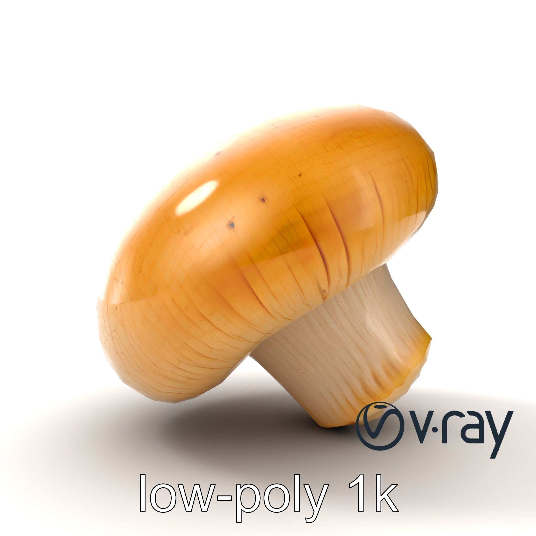 Shiitake Mushroom Photorealistic 3D model pack Low-poly 3D model_12