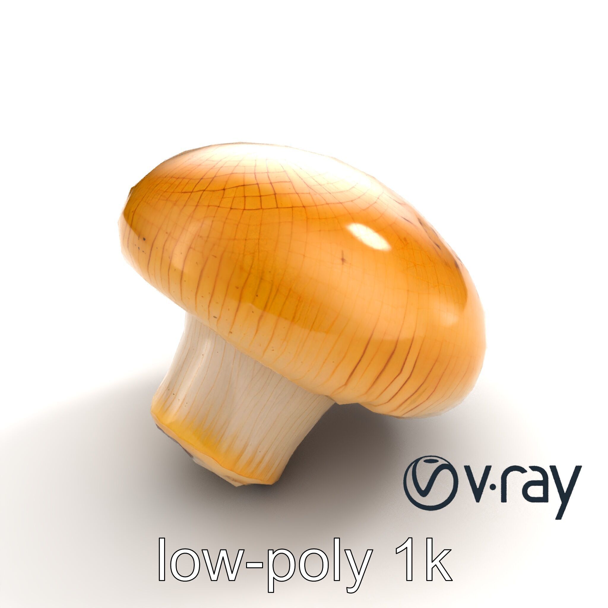 Shiitake Mushroom Photorealistic 3D model pack Low-poly 3D model_9
