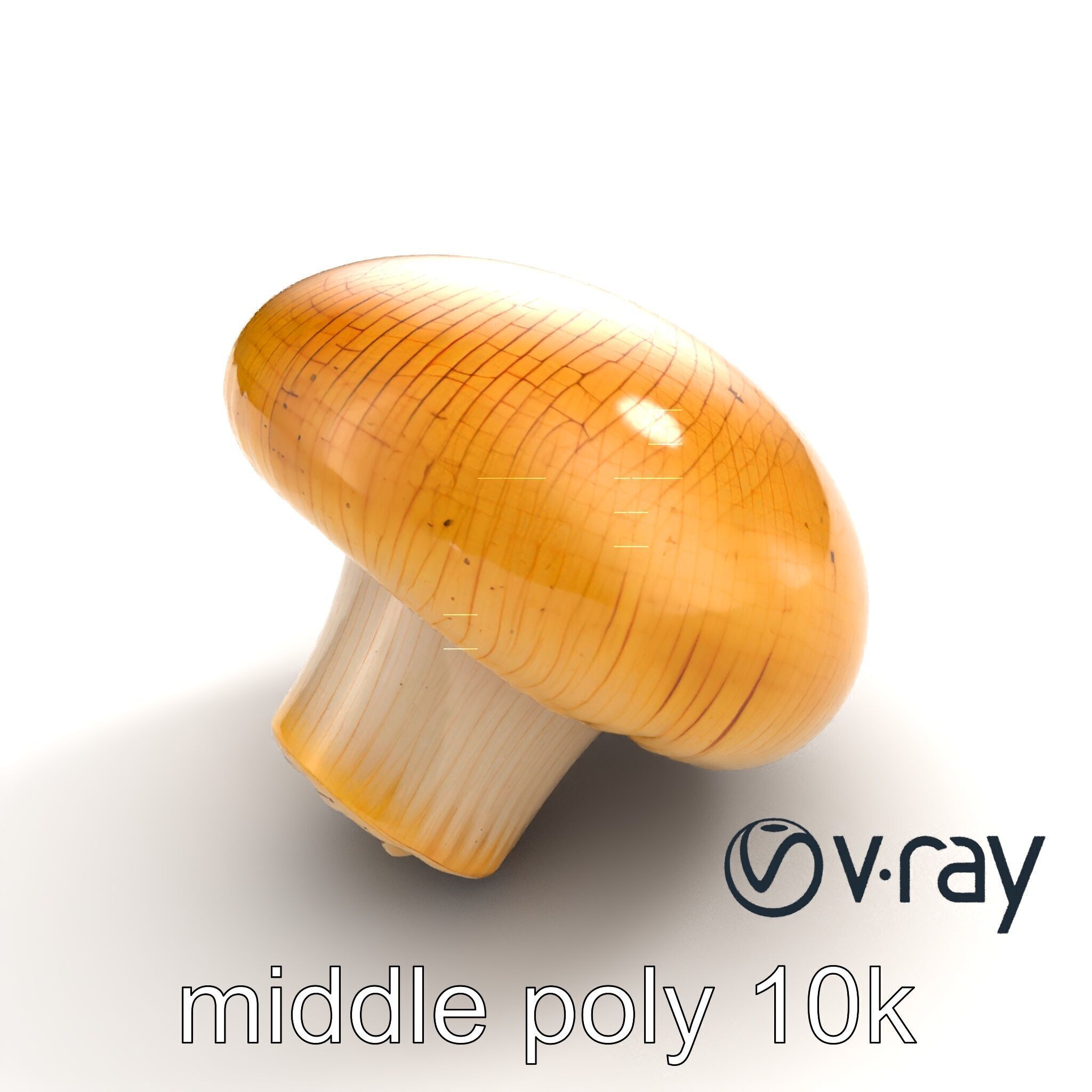 Shiitake Mushroom Photorealistic 3D model pack Low-poly 3D model_8