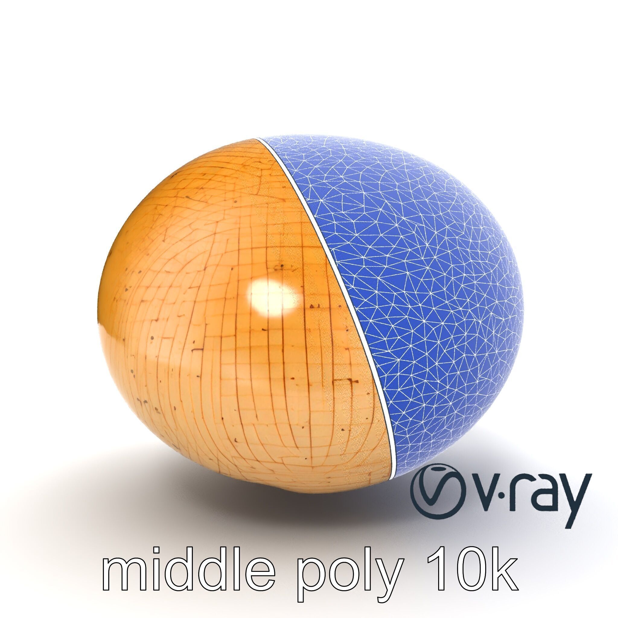 Shiitake Mushroom Photorealistic 3D model pack Low-poly 3D model_28