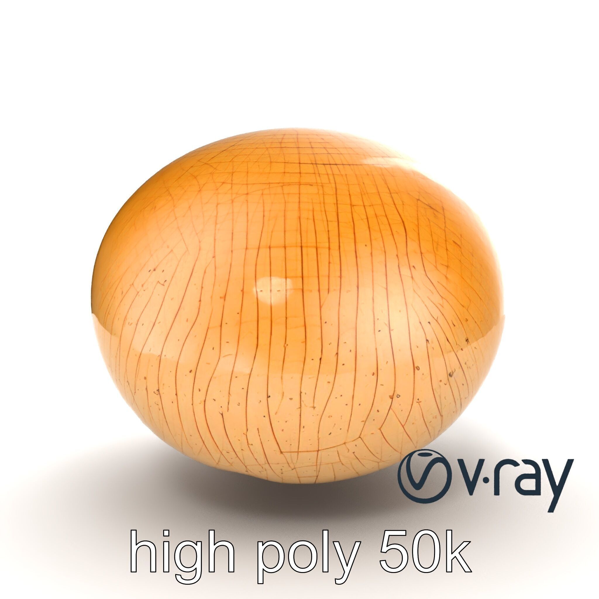 Shiitake Mushroom Photorealistic 3D model pack Low-poly 3D model_19