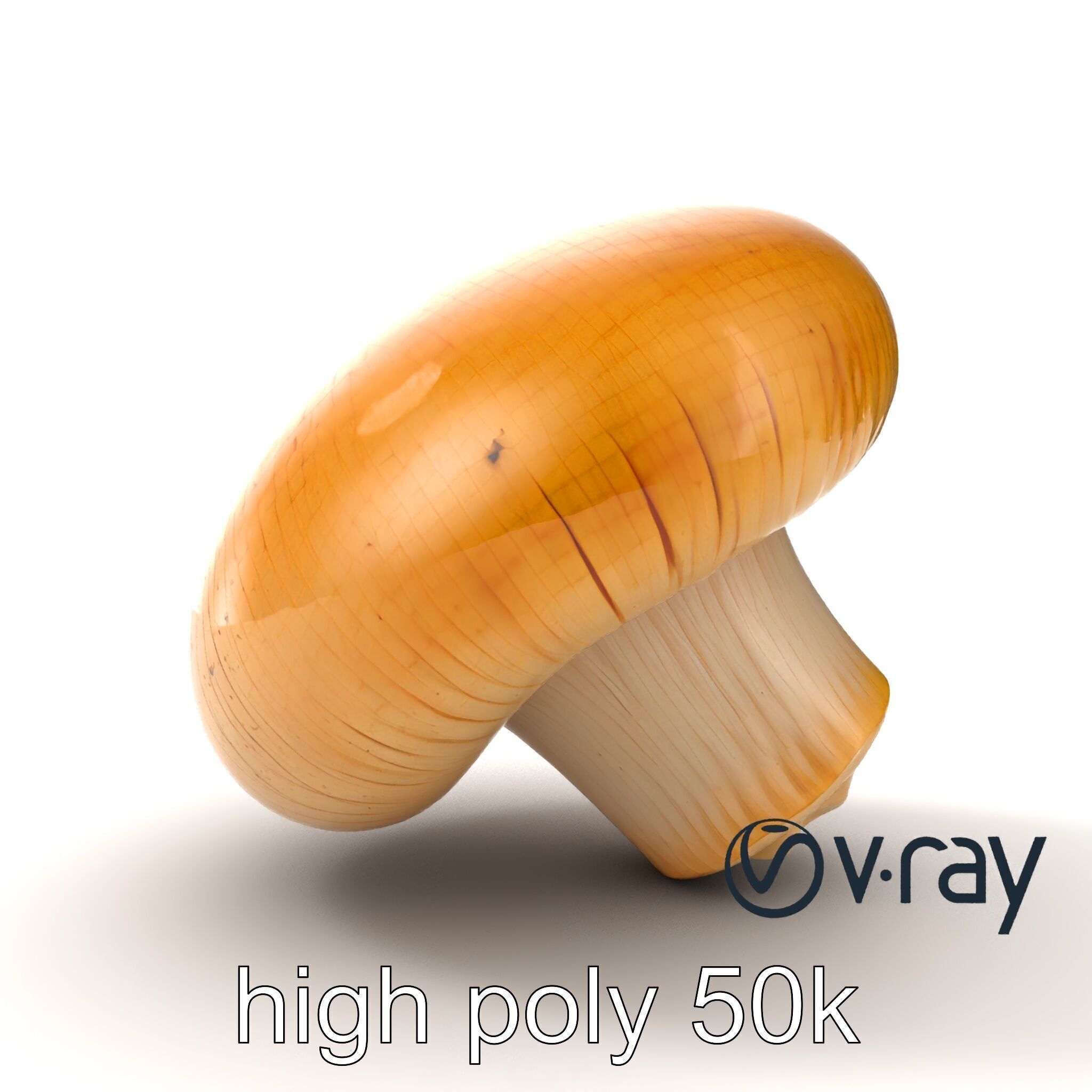 Shiitake Mushroom Photorealistic 3D model pack Low-poly 3D model_20