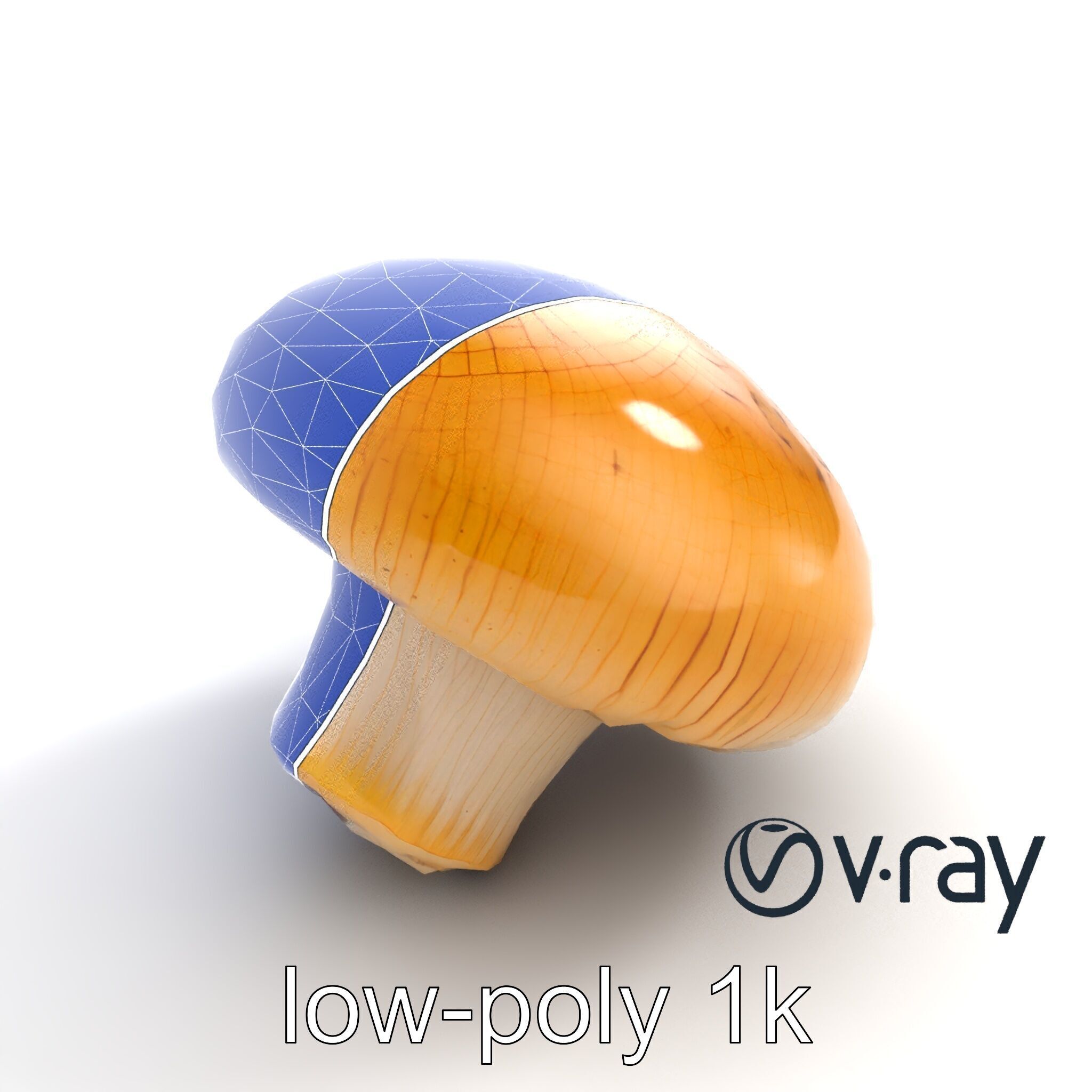 Shiitake Mushroom Photorealistic 3D model pack Low-poly 3D model_15