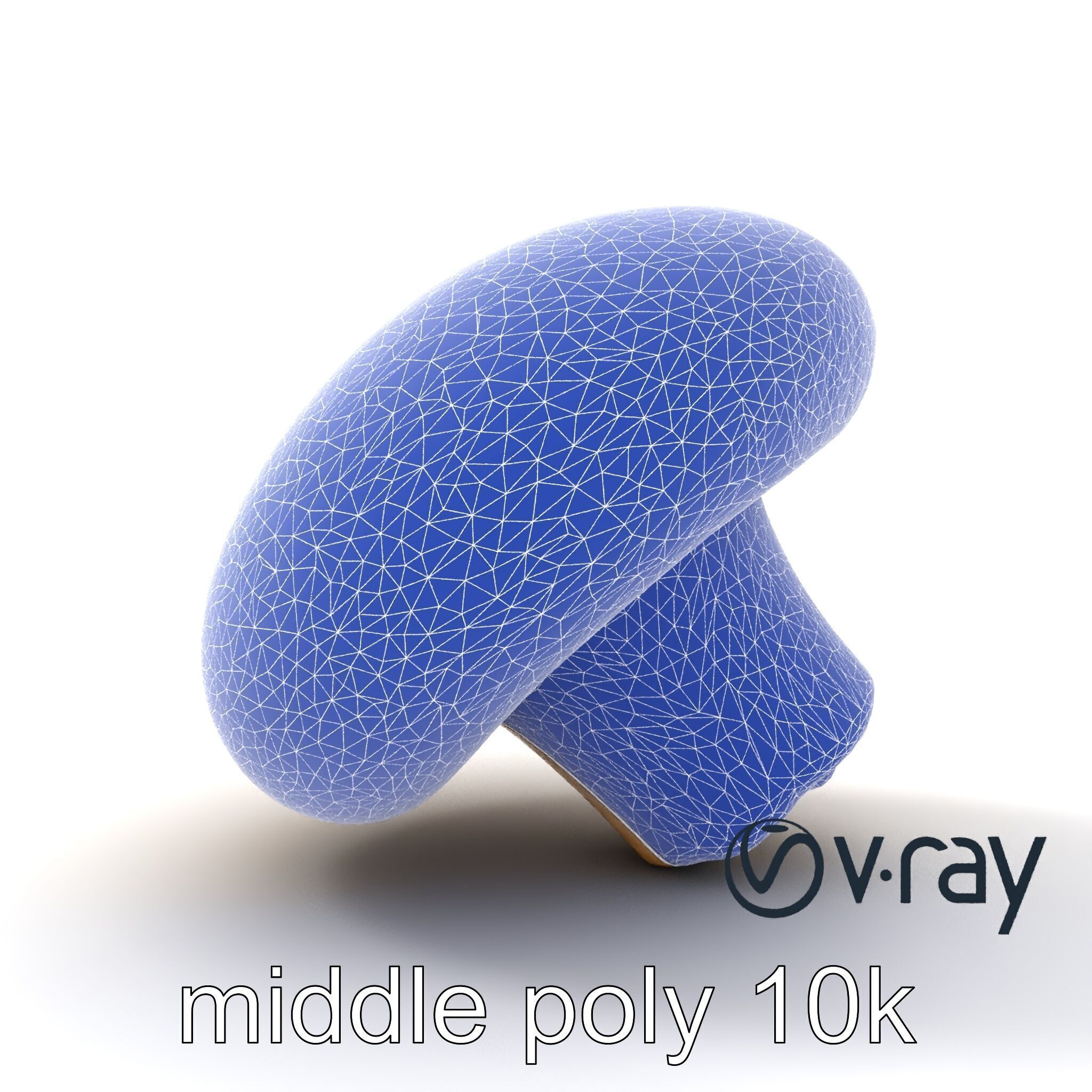 Shiitake Mushroom Photorealistic 3D model pack Low-poly 3D model_25