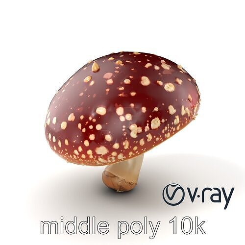 Fly Agaric Mushroom Fantasy Scene model pack Low-poly 3D model