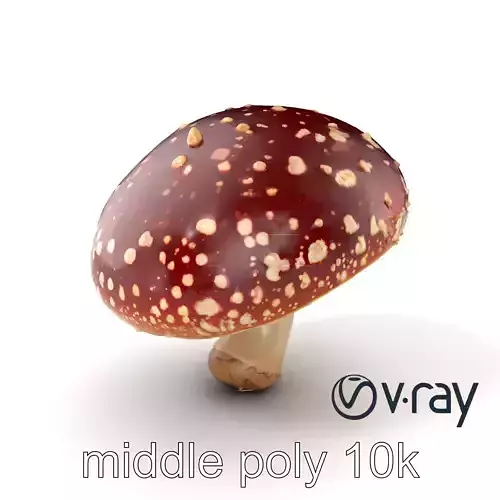 Fly Agaric Mushroom Fantasy Scene model pack Low-poly 3D model
