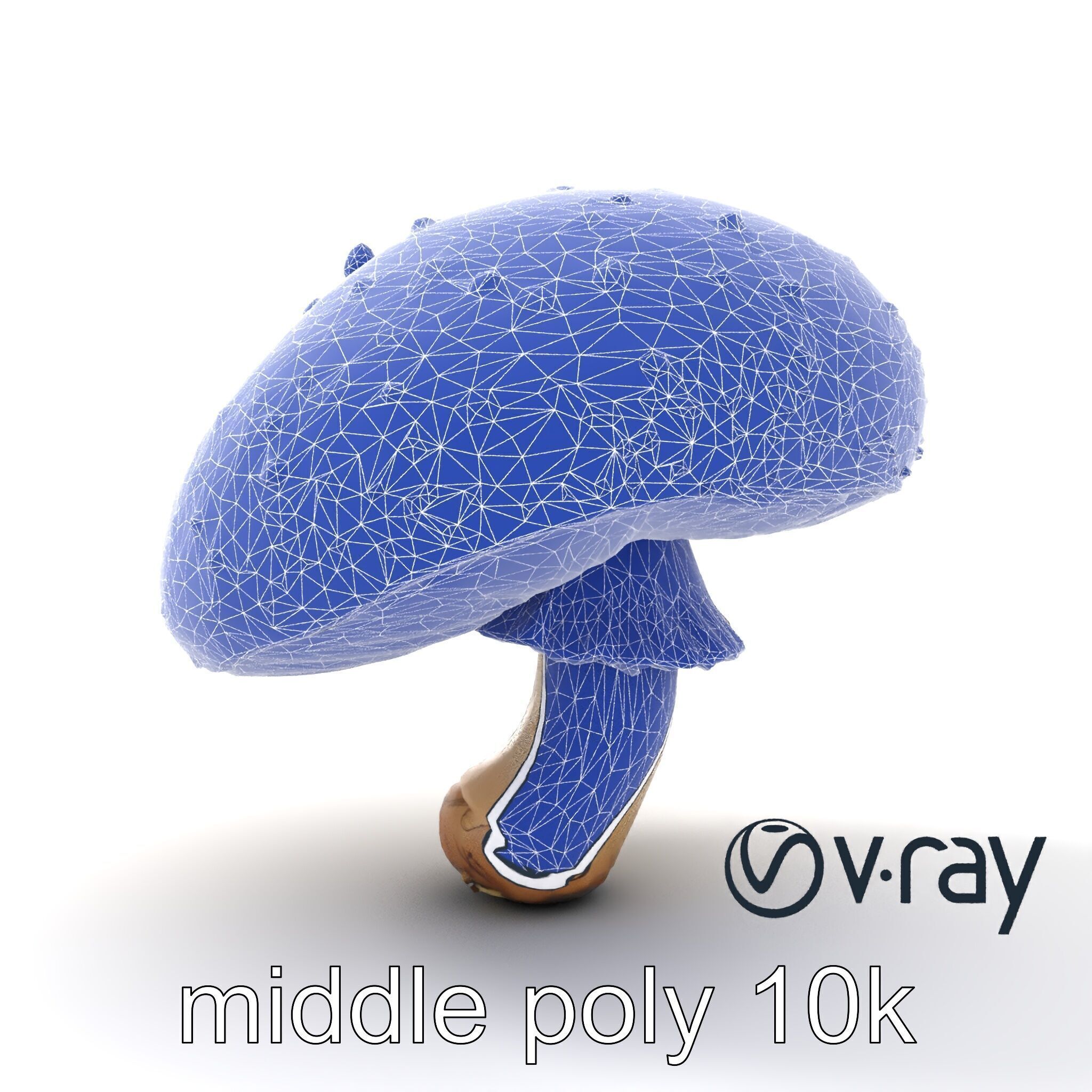 Fly Agaric Mushroom Fantasy Scene model pack Low-poly 3D model_19