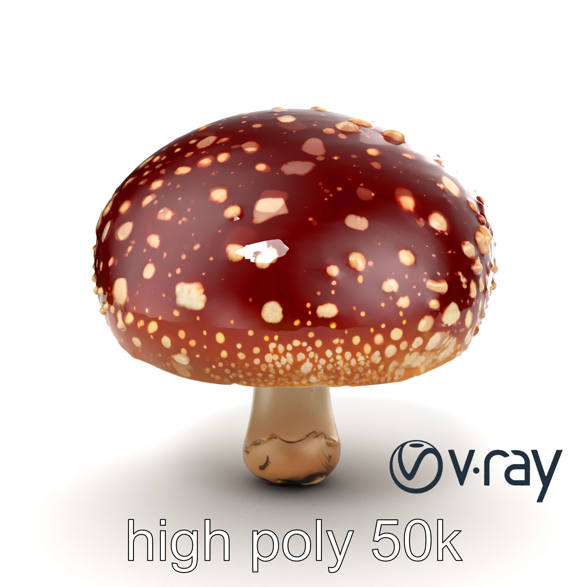 Fly Agaric Mushroom Fantasy Scene model pack Low-poly 3D model_17