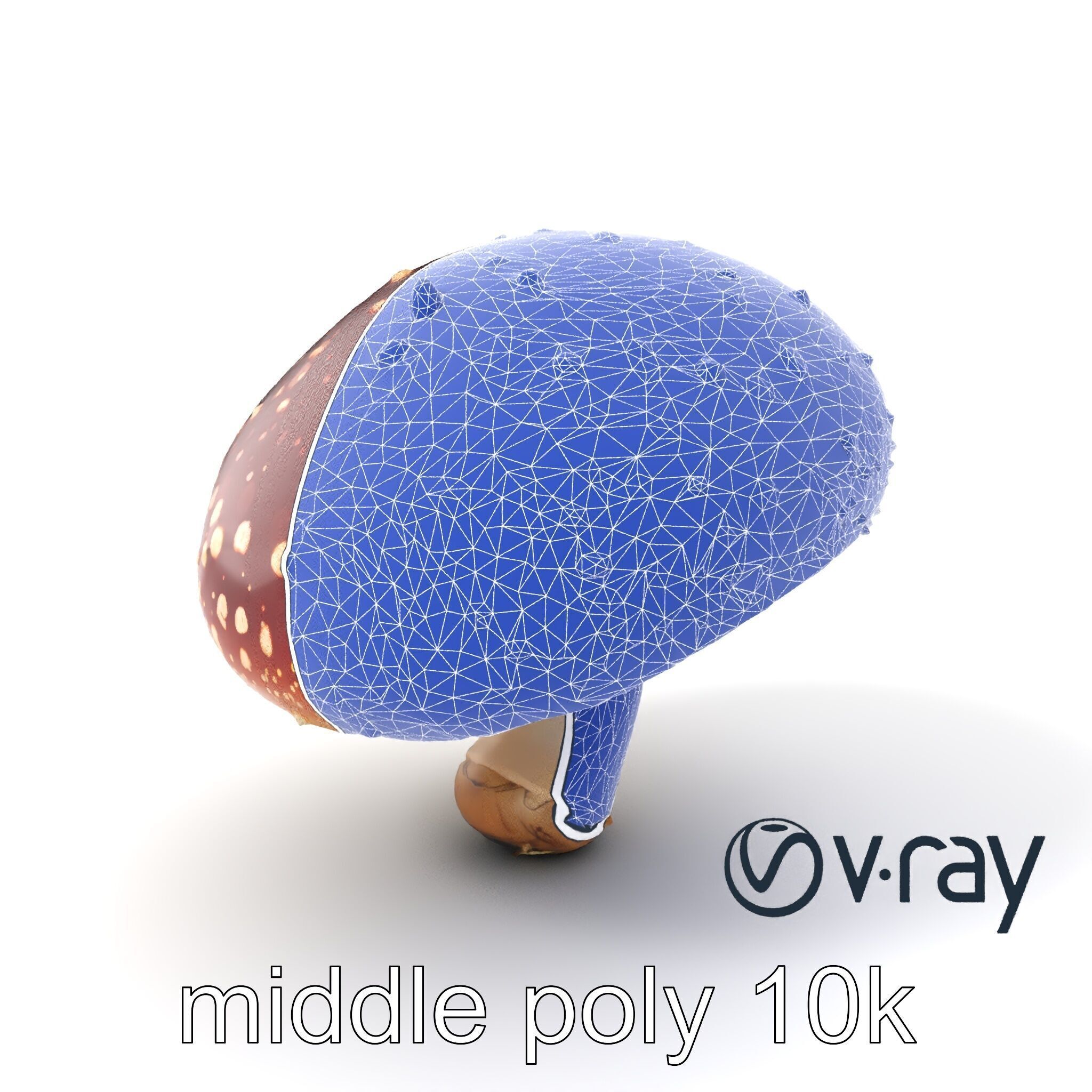 Fly Agaric Mushroom Fantasy Scene model pack Low-poly 3D model_5