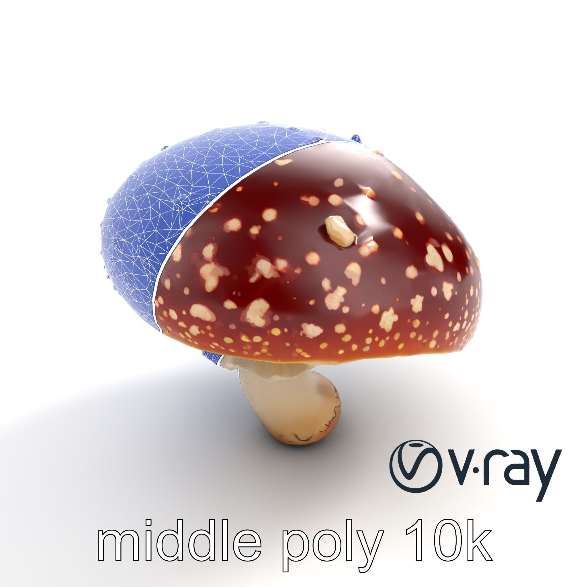 Fly Agaric Mushroom Fantasy Scene model pack Low-poly 3D model_11