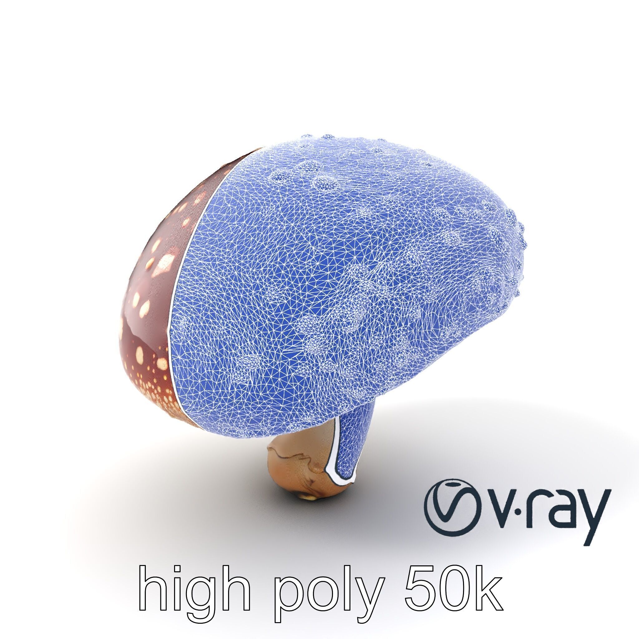 Fly Agaric Mushroom Fantasy Scene model pack Low-poly 3D model_23