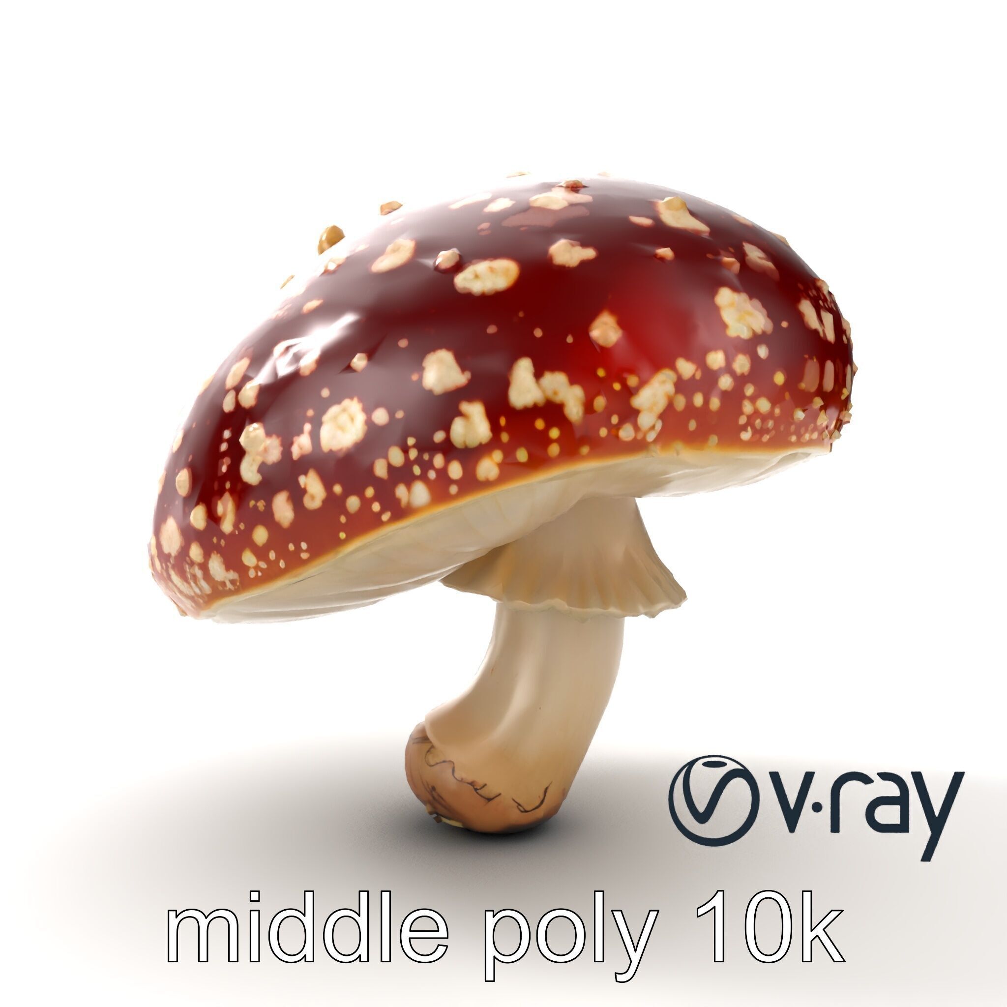 Fly Agaric Mushroom Fantasy Scene model pack Low-poly 3D model_15