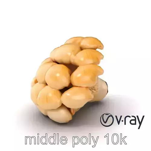 Oyster Mushroom Cluster model pack Low-poly 3D model