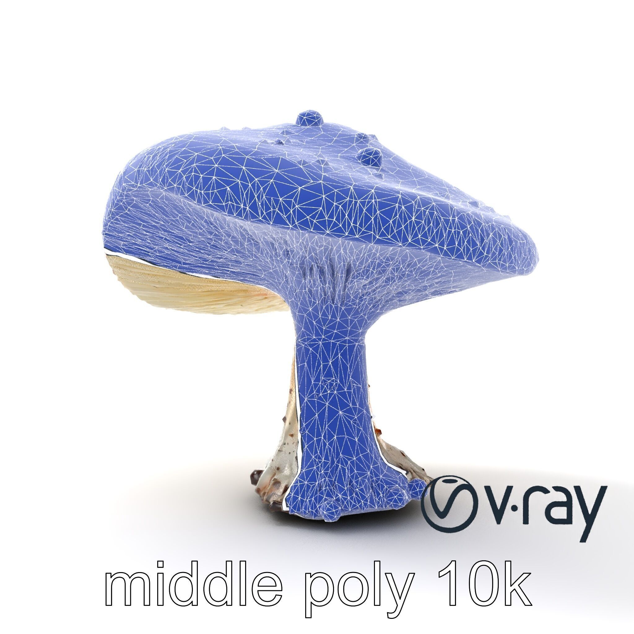 Stylized Glowing Mushroom Sci-Fi model pack Low-poly 3D model_26