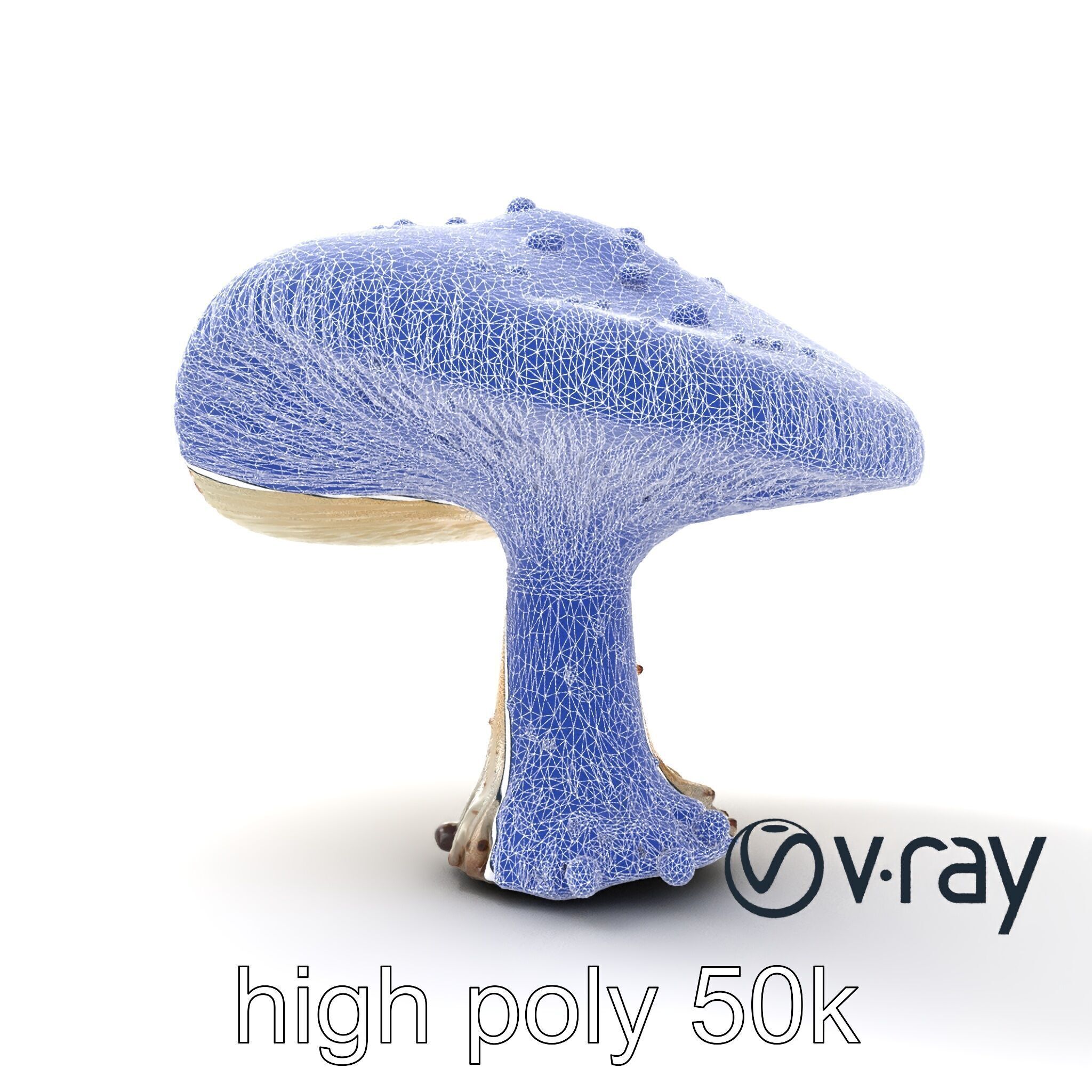 Stylized Glowing Mushroom Sci-Fi model pack Low-poly 3D model_28