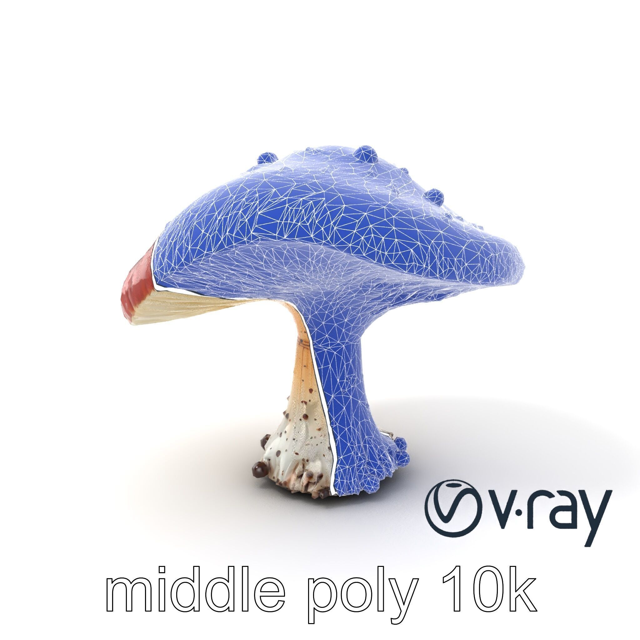 Stylized Glowing Mushroom Sci-Fi model pack Low-poly 3D model_8