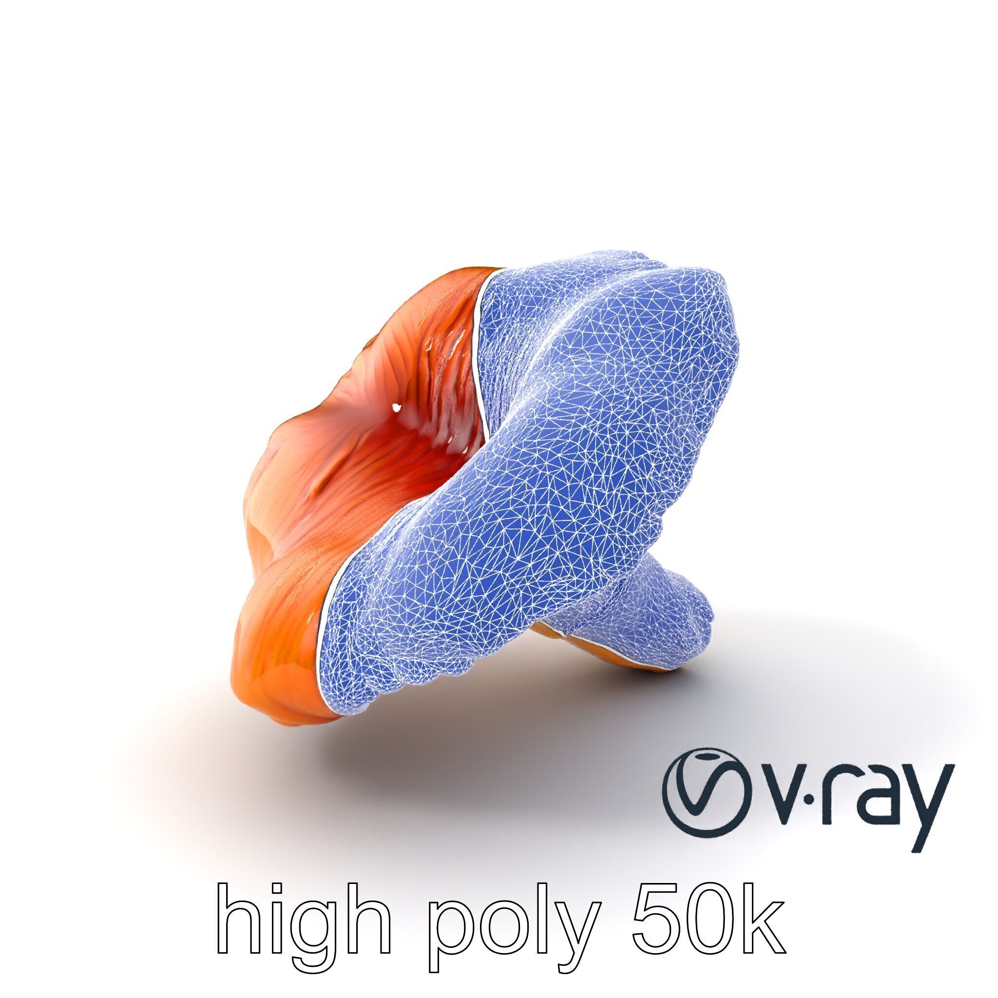 Chanterelle Mushroom Golden Texture model pack Low-poly 3D model_10