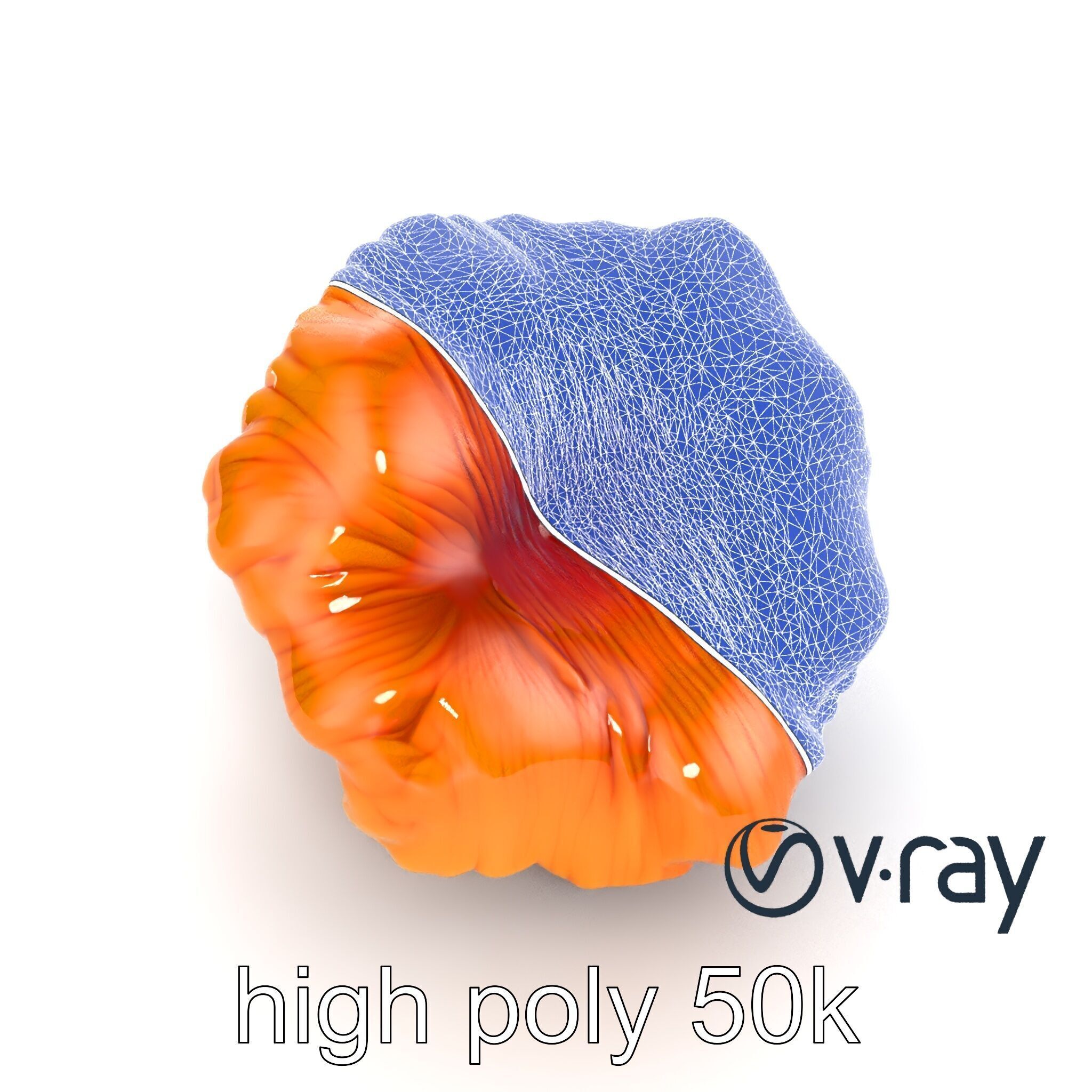 Chanterelle Mushroom Golden Texture model pack Low-poly 3D model_32