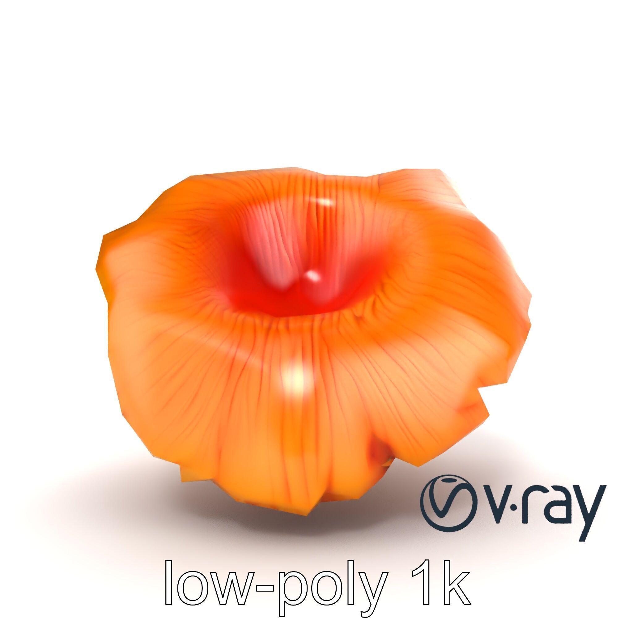 Chanterelle Mushroom Golden Texture model pack Low-poly 3D model_15