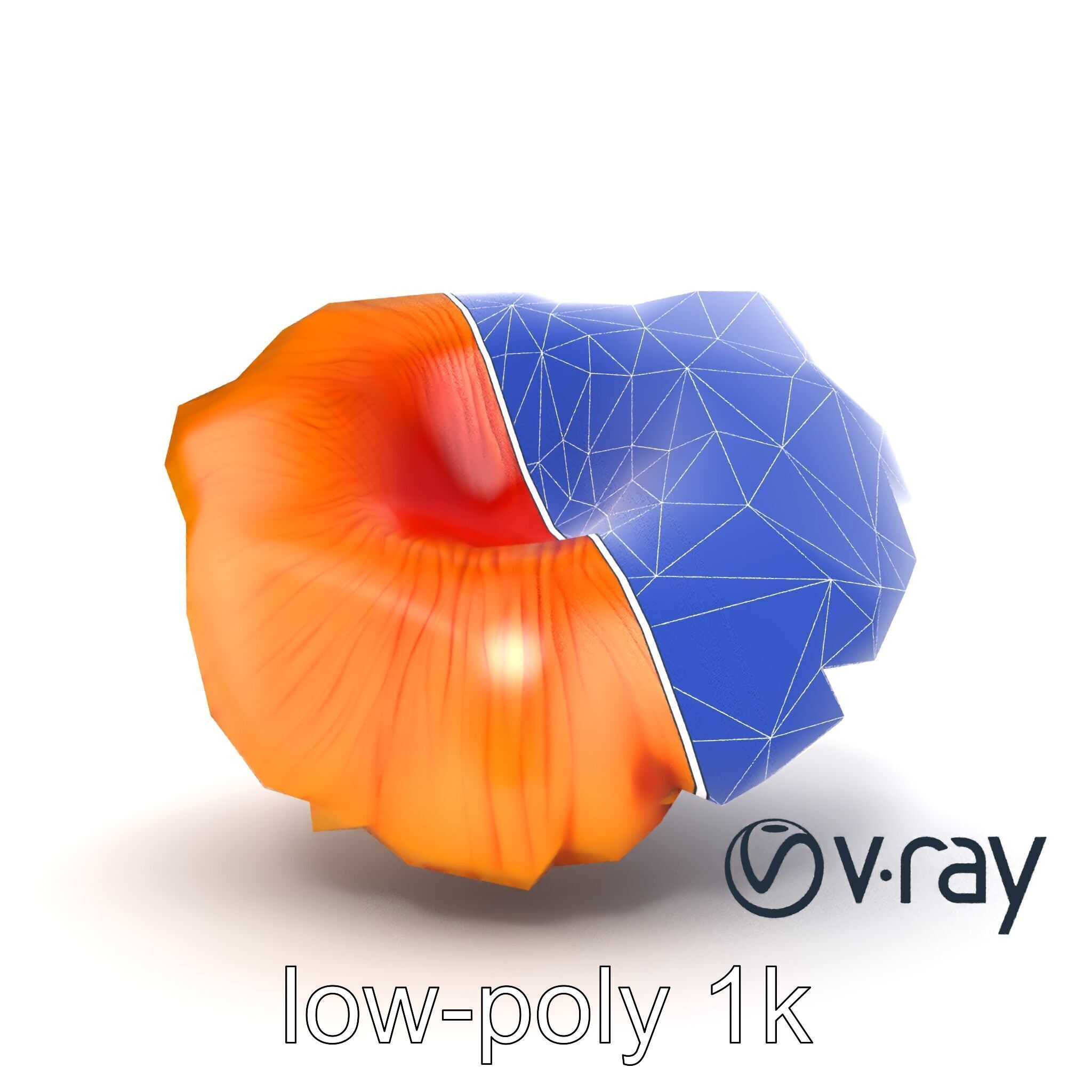 Chanterelle Mushroom Golden Texture model pack Low-poly 3D model_30