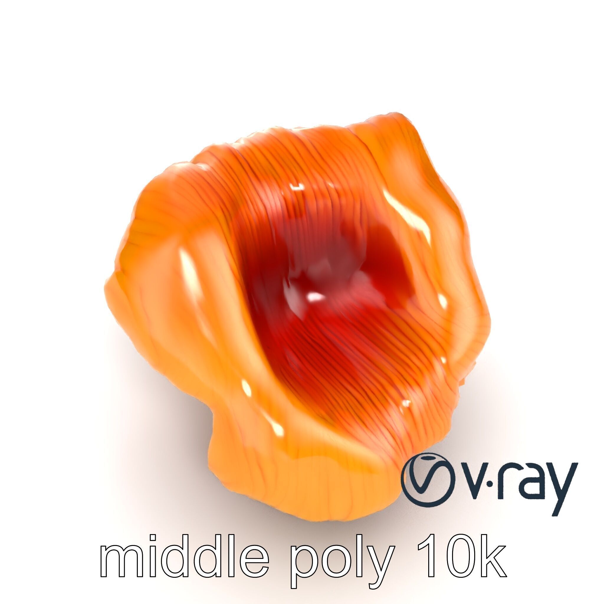 Chanterelle Mushroom Golden Texture model pack Low-poly 3D model_19