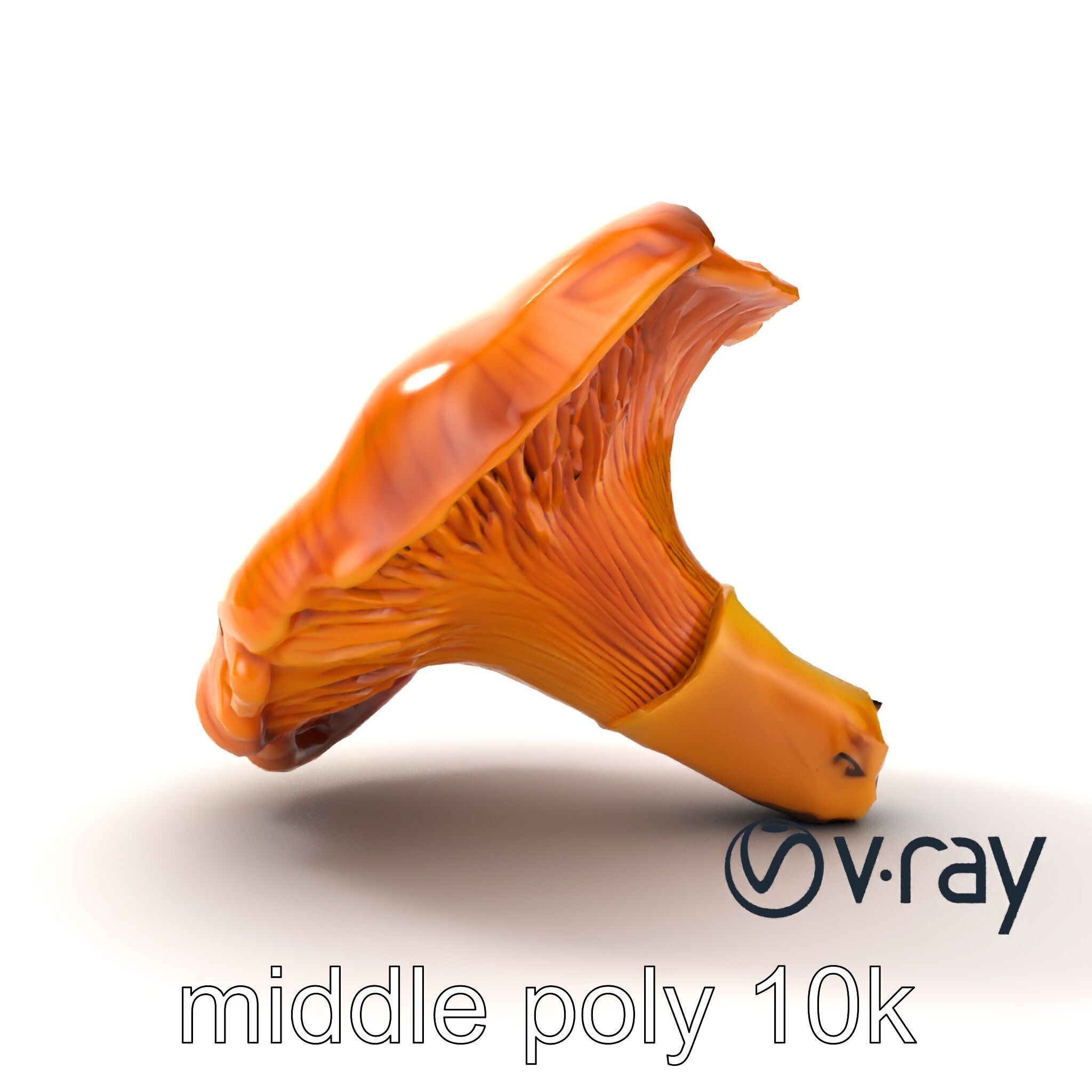Chanterelle Mushroom Golden Texture model pack Low-poly 3D model_21