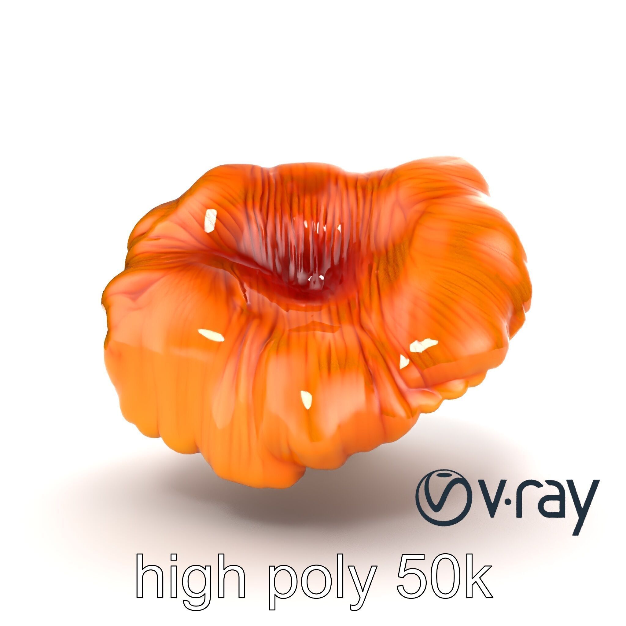 Chanterelle Mushroom Golden Texture model pack Low-poly 3D model_26
