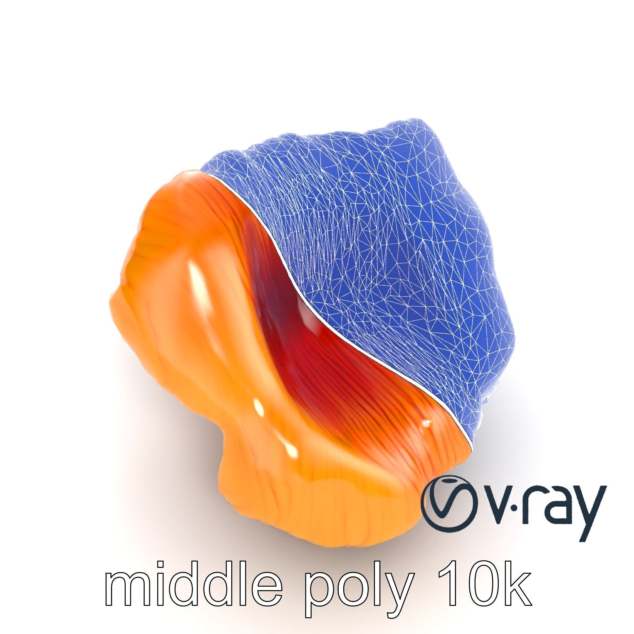 Chanterelle Mushroom Golden Texture model pack Low-poly 3D model_16