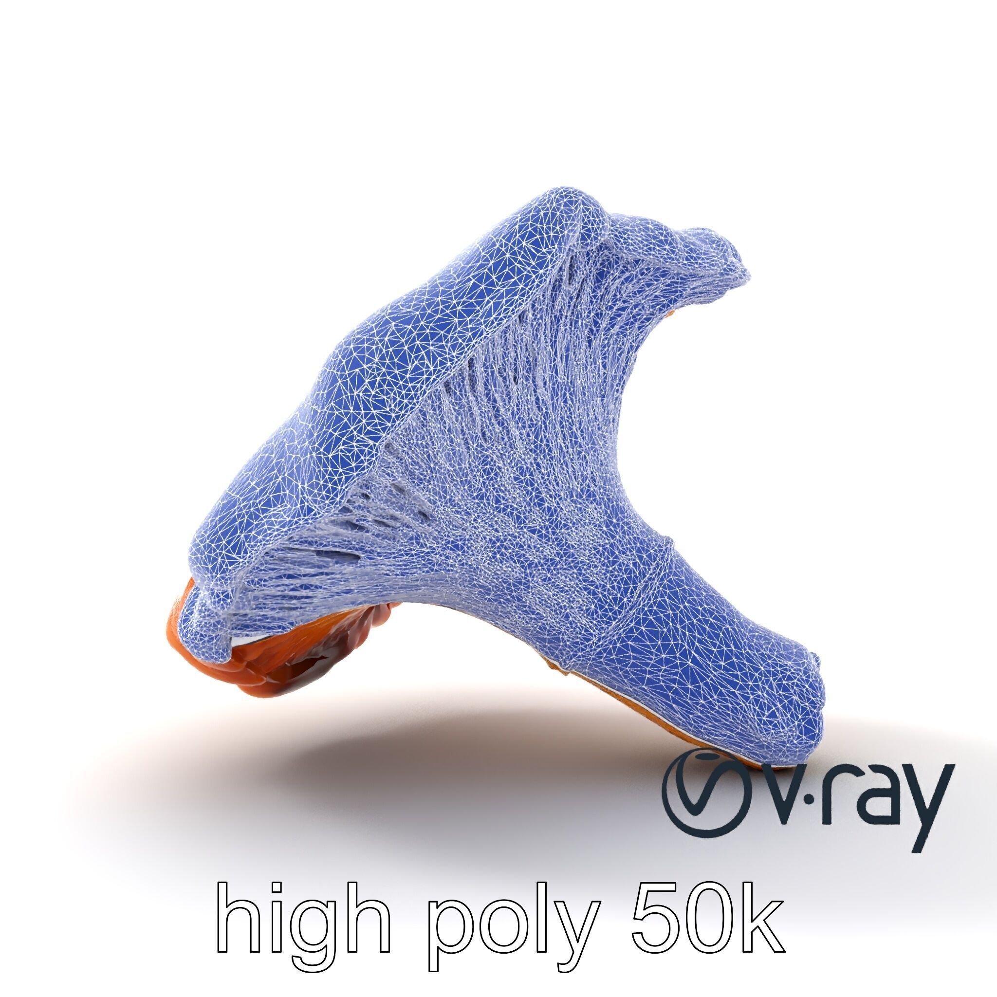 Chanterelle Mushroom Golden Texture model pack Low-poly 3D model_31