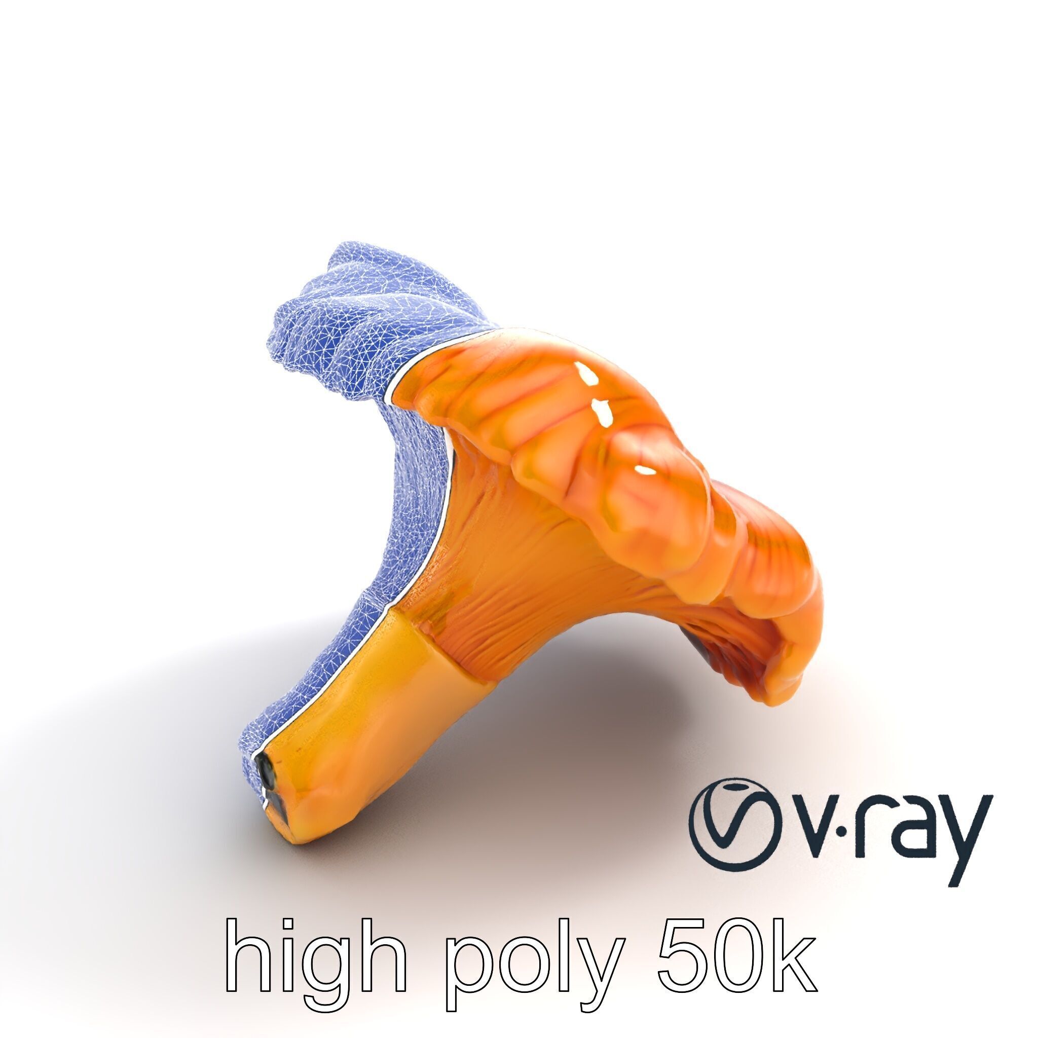 Chanterelle Mushroom Golden Texture model pack Low-poly 3D model_22