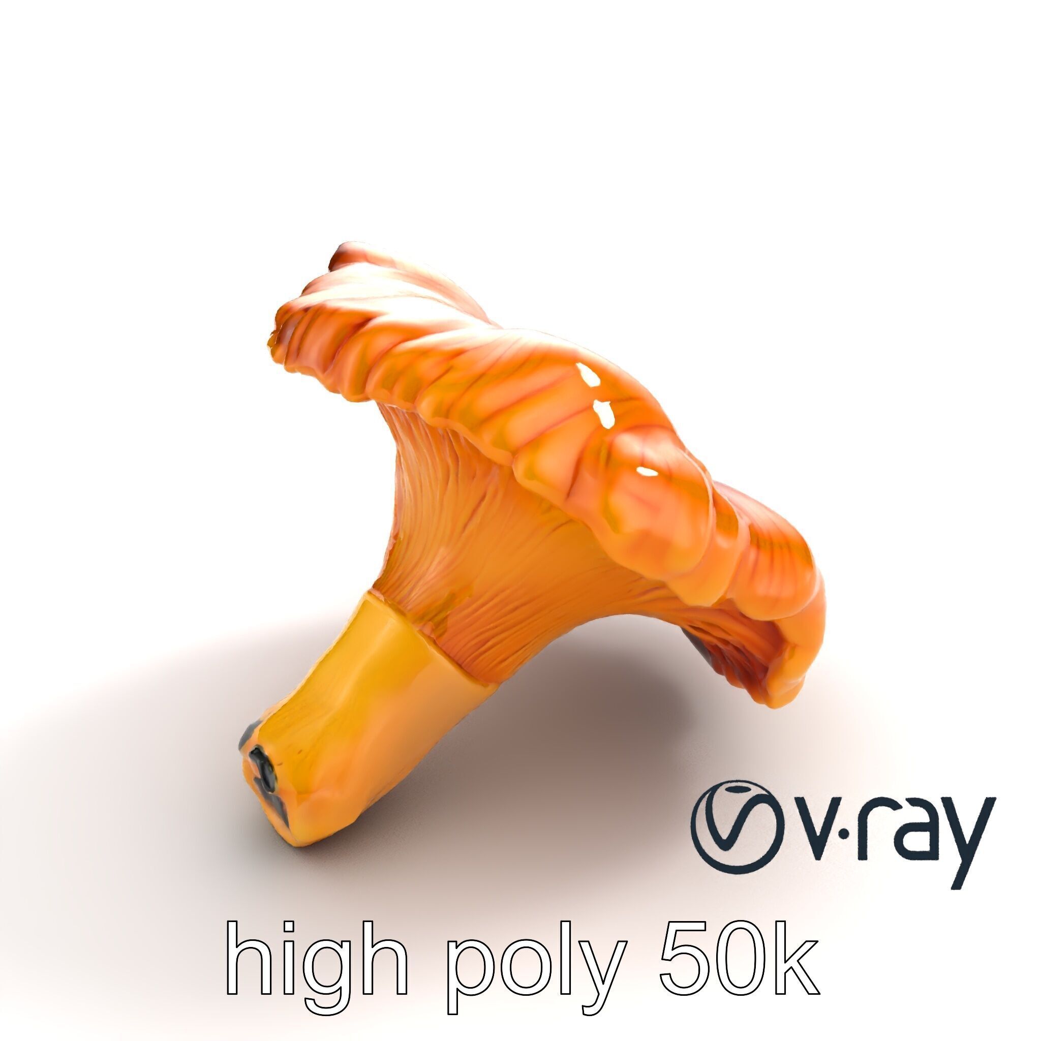 Chanterelle Mushroom Golden Texture model pack Low-poly 3D model_18