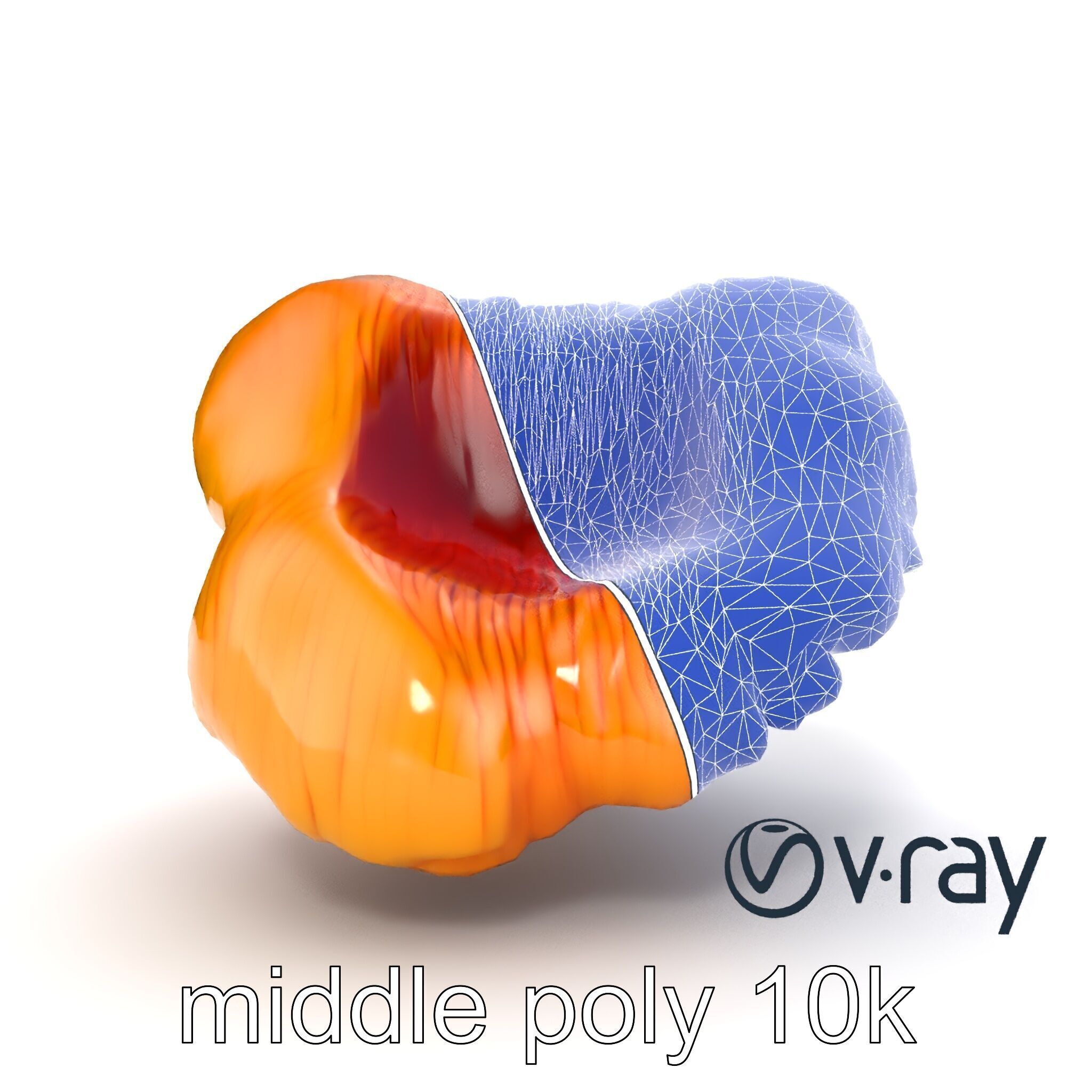 Chanterelle Mushroom Golden Texture model pack Low-poly 3D model_23