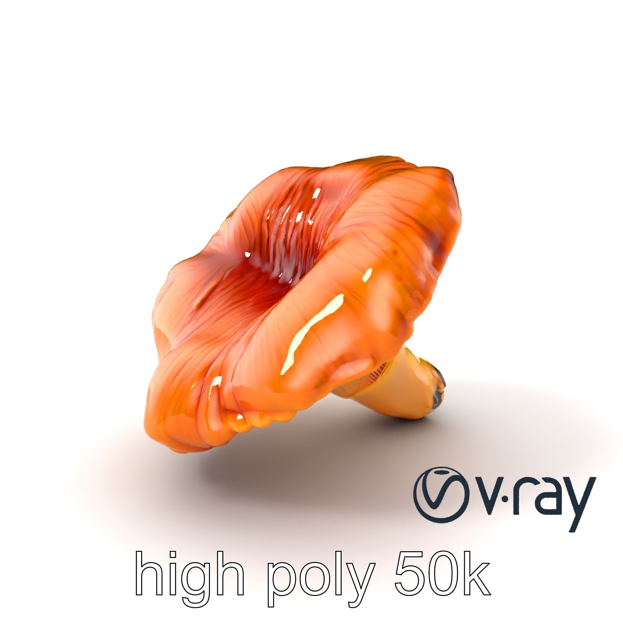 Chanterelle Mushroom Golden Texture model pack Low-poly 3D model_7