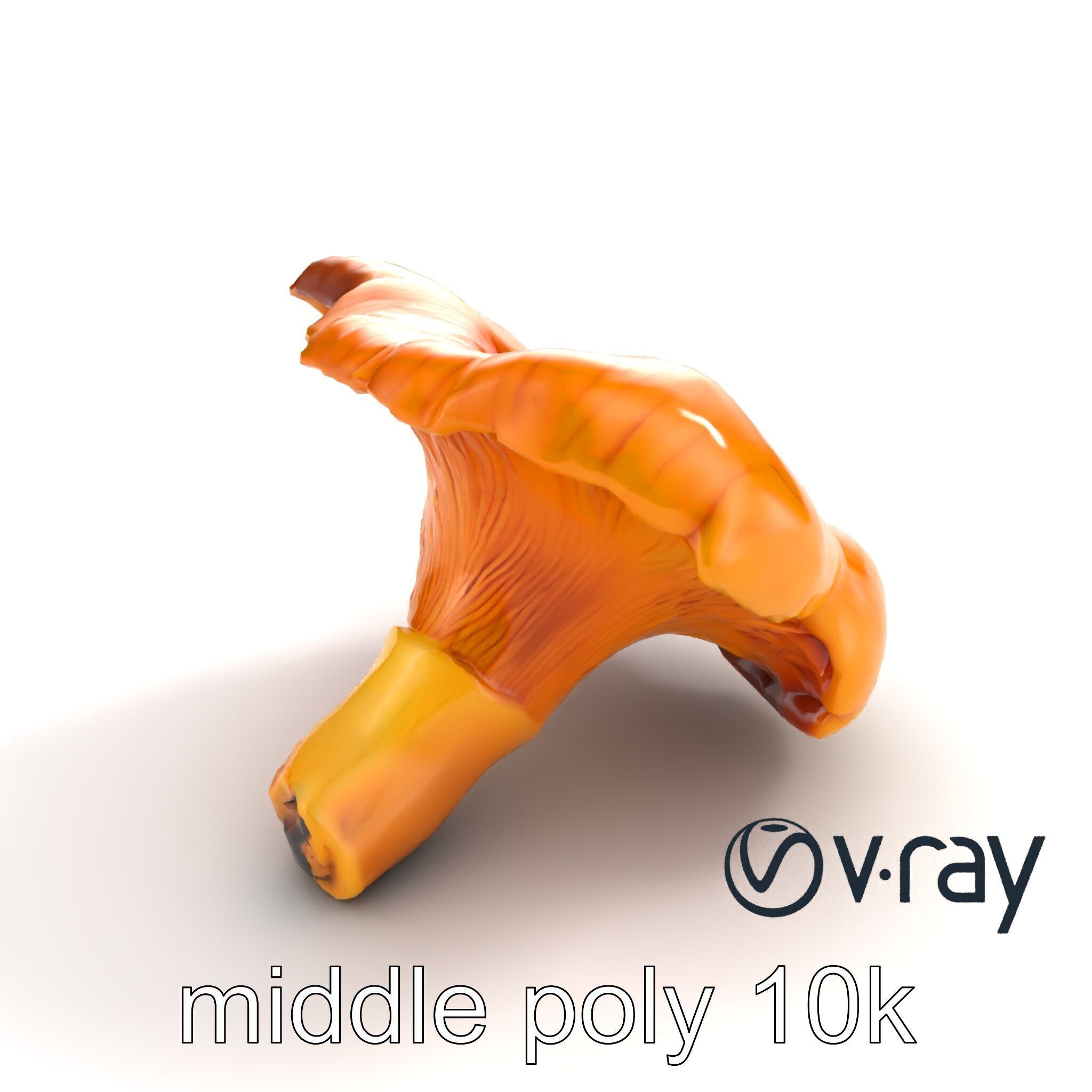 Chanterelle Mushroom Golden Texture model pack Low-poly 3D model_8