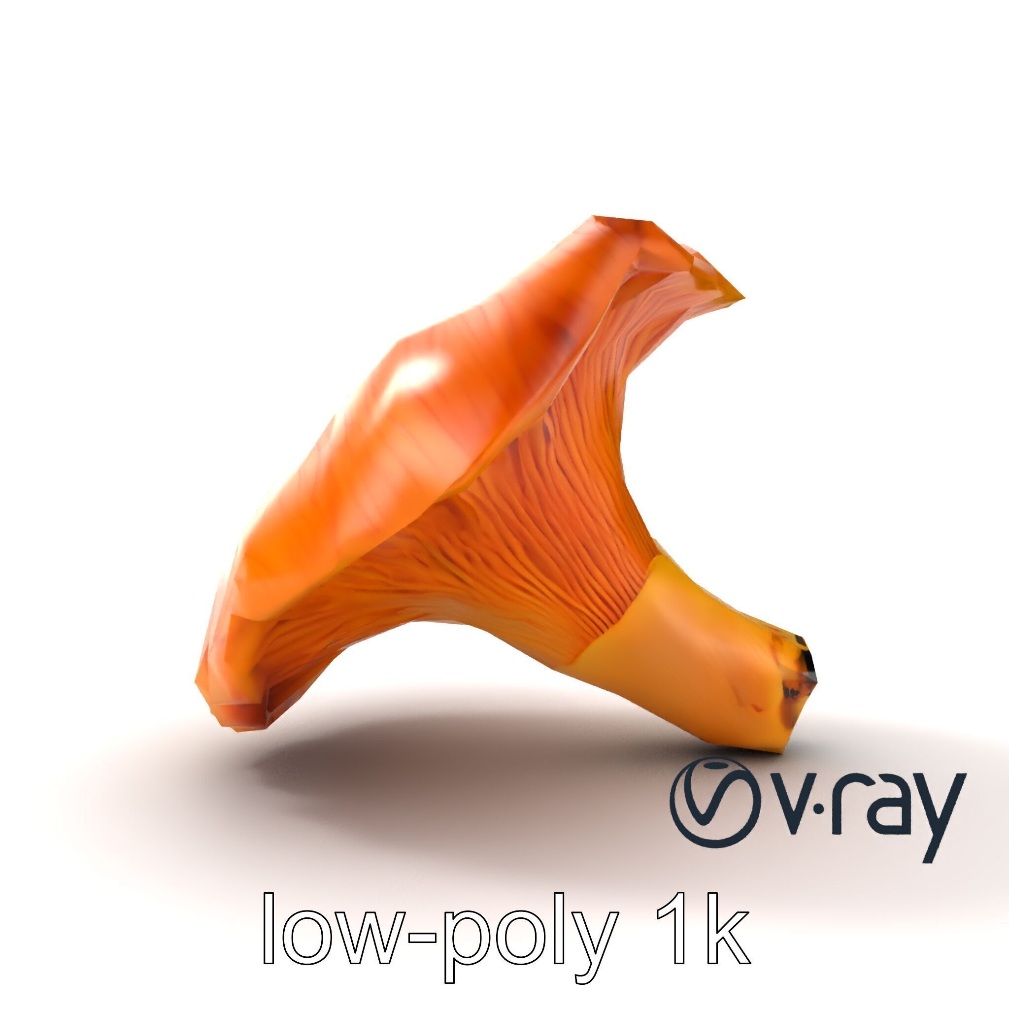 Chanterelle Mushroom Golden Texture model pack Low-poly 3D model_13