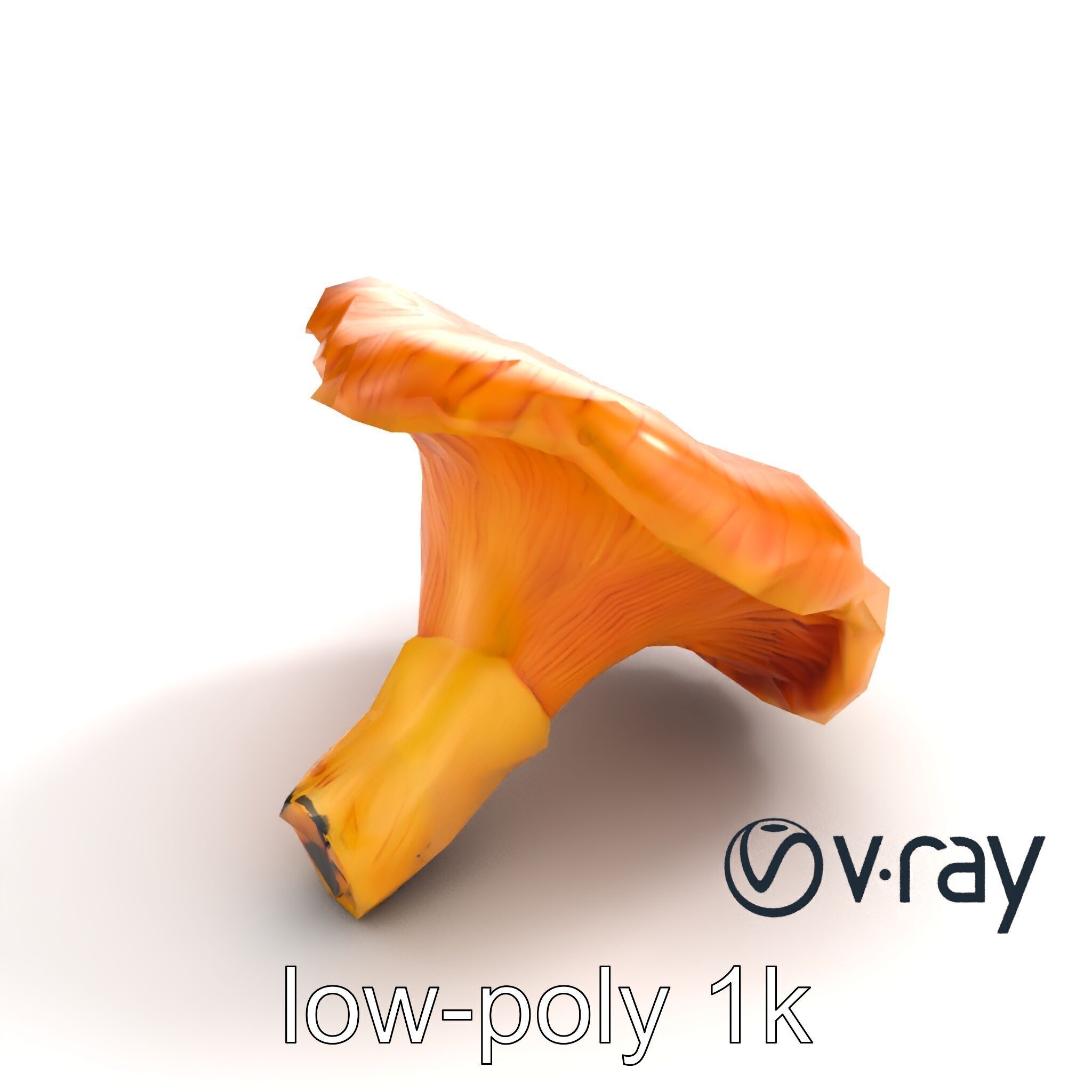 Chanterelle Mushroom Golden Texture model pack Low-poly 3D model_6