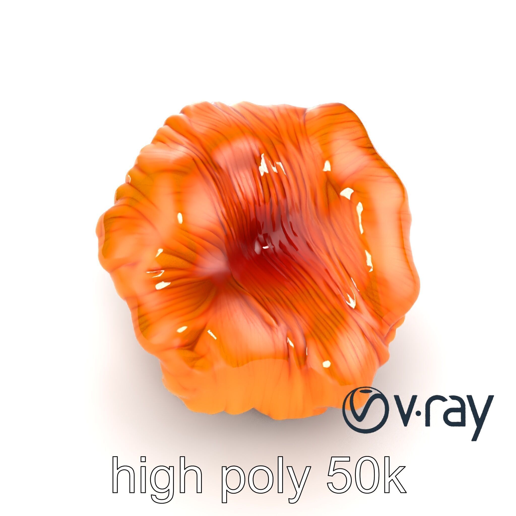 Chanterelle Mushroom Golden Texture model pack Low-poly 3D model_29